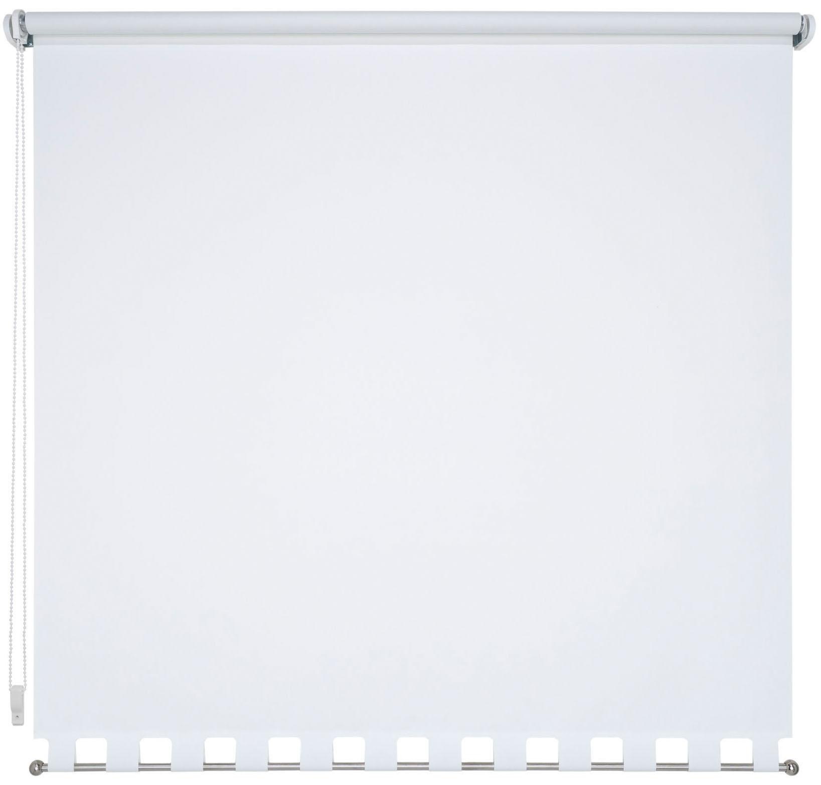 Image of Liedeco Seitenzugrollo, verdunkelnd, energiesparend, mit Bohren, Volantrollo - eckiger Volant, Fixmass bei Ackermann Versand Schweiz