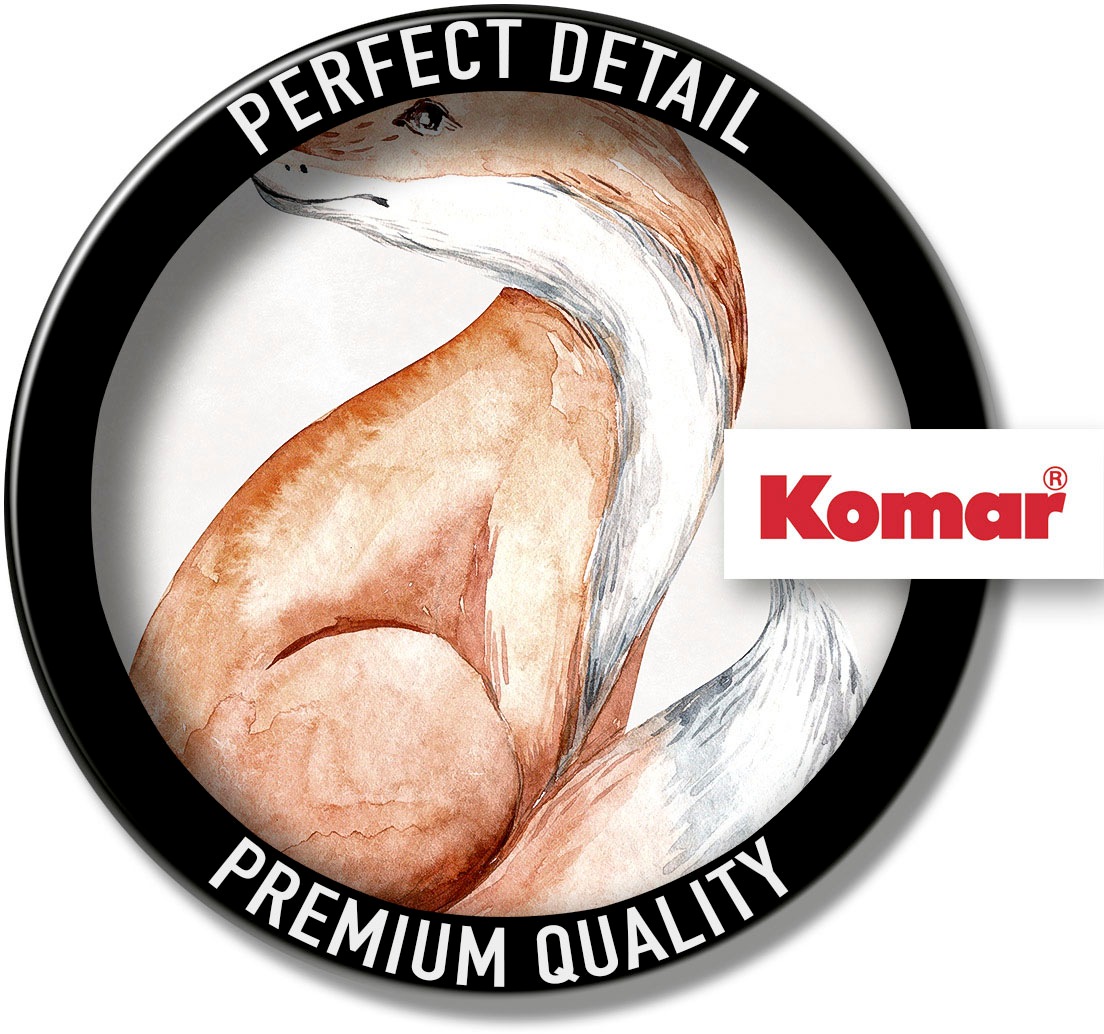 Komar Image »Curious Fox« 1 cuis tlg. Wandbild zur Dekoration - ohne Rahmen