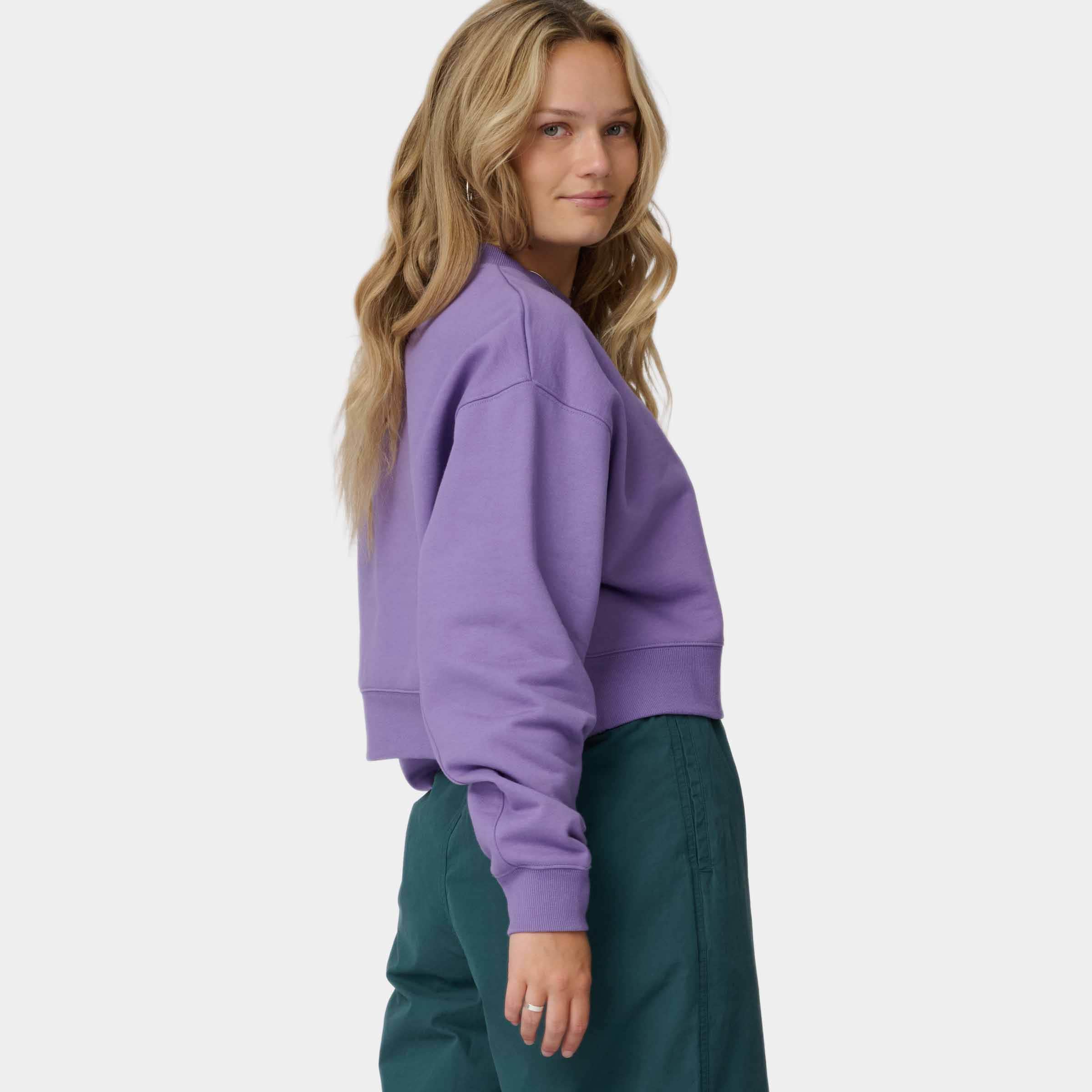 Santa Cruz Sweatshirt »KELP STRIP CREW«, für Erwachsene, sportlicher Stil, mit Komfort und Bewegungsfreiheit
