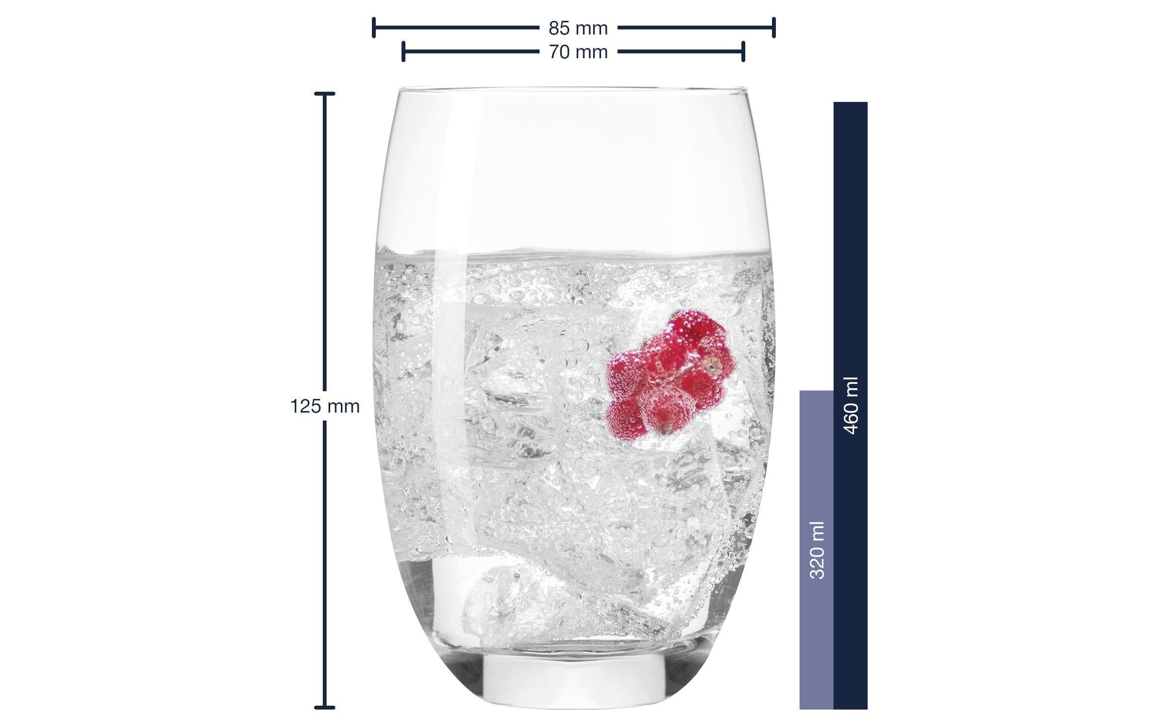LEONARDO Glas »Cheers 460ml«, (6 tlg.)