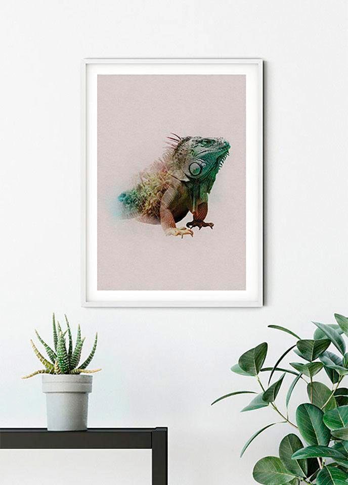 Image of Komar Bild "Animals Paradise Iguana" Tiere 1 Stk. tlg. Wandbild zur Dekoration - ohne Rahmen