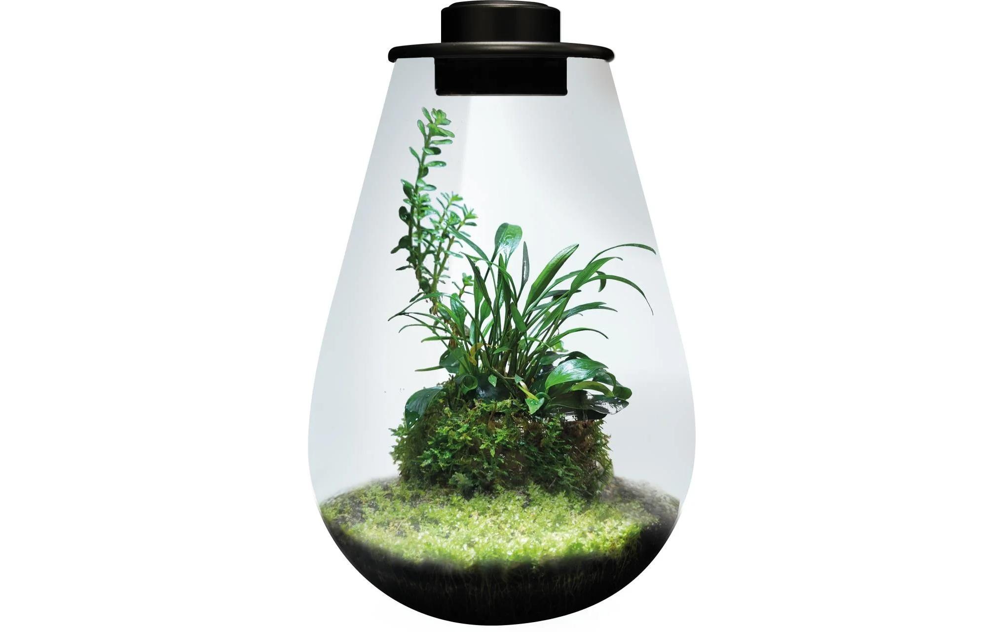   Objet décoratif LED »Bio Art Pflanzengefäss Drop 285 mit LED-Leuchtmittel« 1 cuis