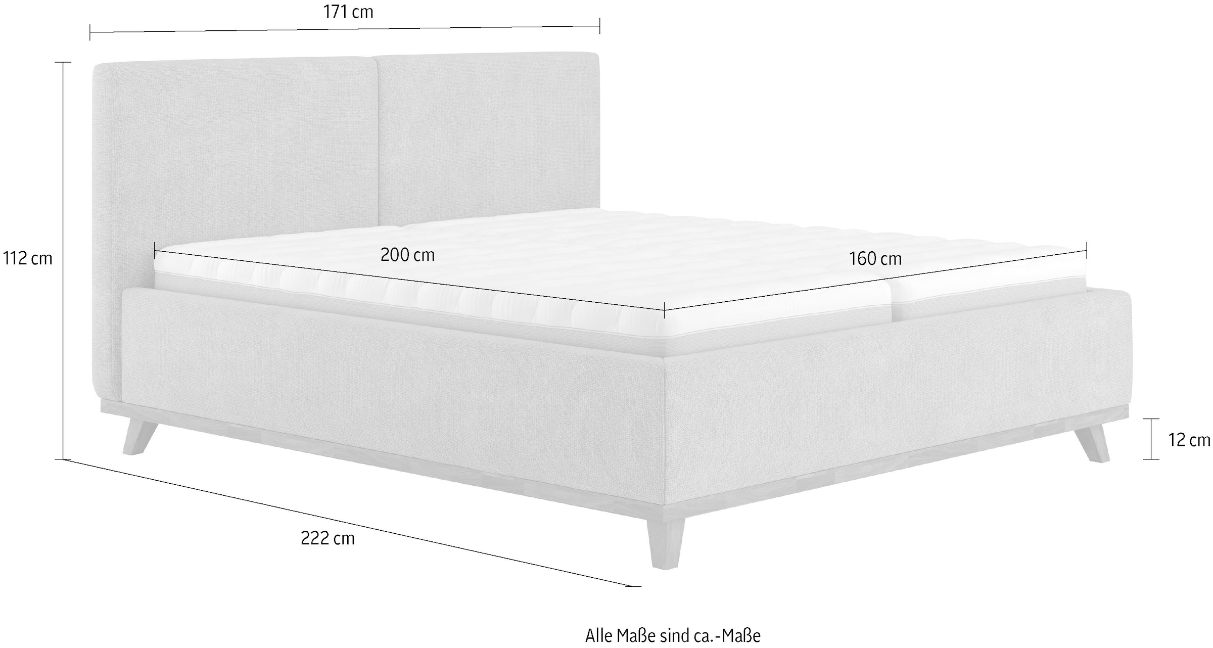 COTTA Polsterbett »MILLI III wahlweise mit Bettkasten« erhältlich in den Grössen 160x200cm & 180x200cm