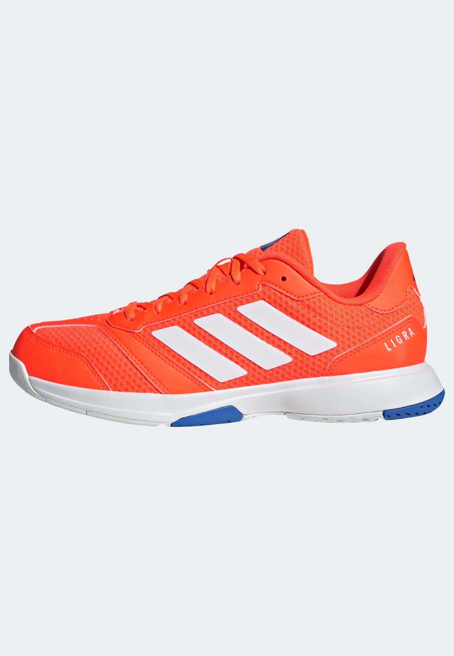 adidas Performance Hallenschuh »LIGRA 8 INDOOR«