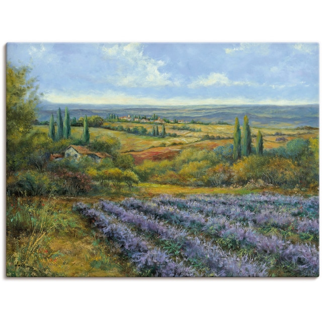 Artland Wandbild »Lavendelfelder in der Provence«, Europa, (1 St.), als  Alubild, Leinwandbild, Wandaufkleber oder Poster in versch. Grössen  maintenant