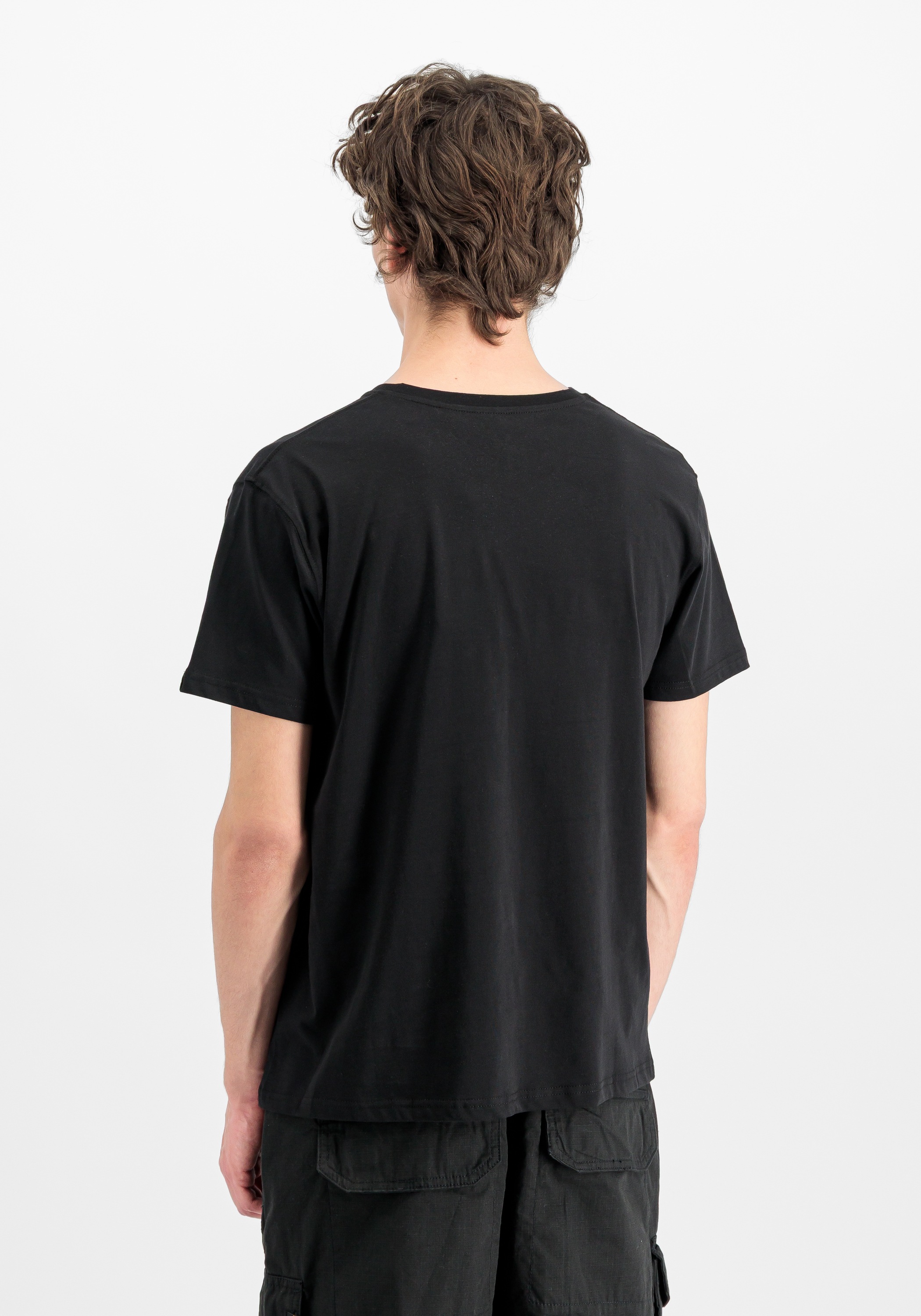 Alpha Industries T-Shirt »Basic T-Shirt BL Neon Print«