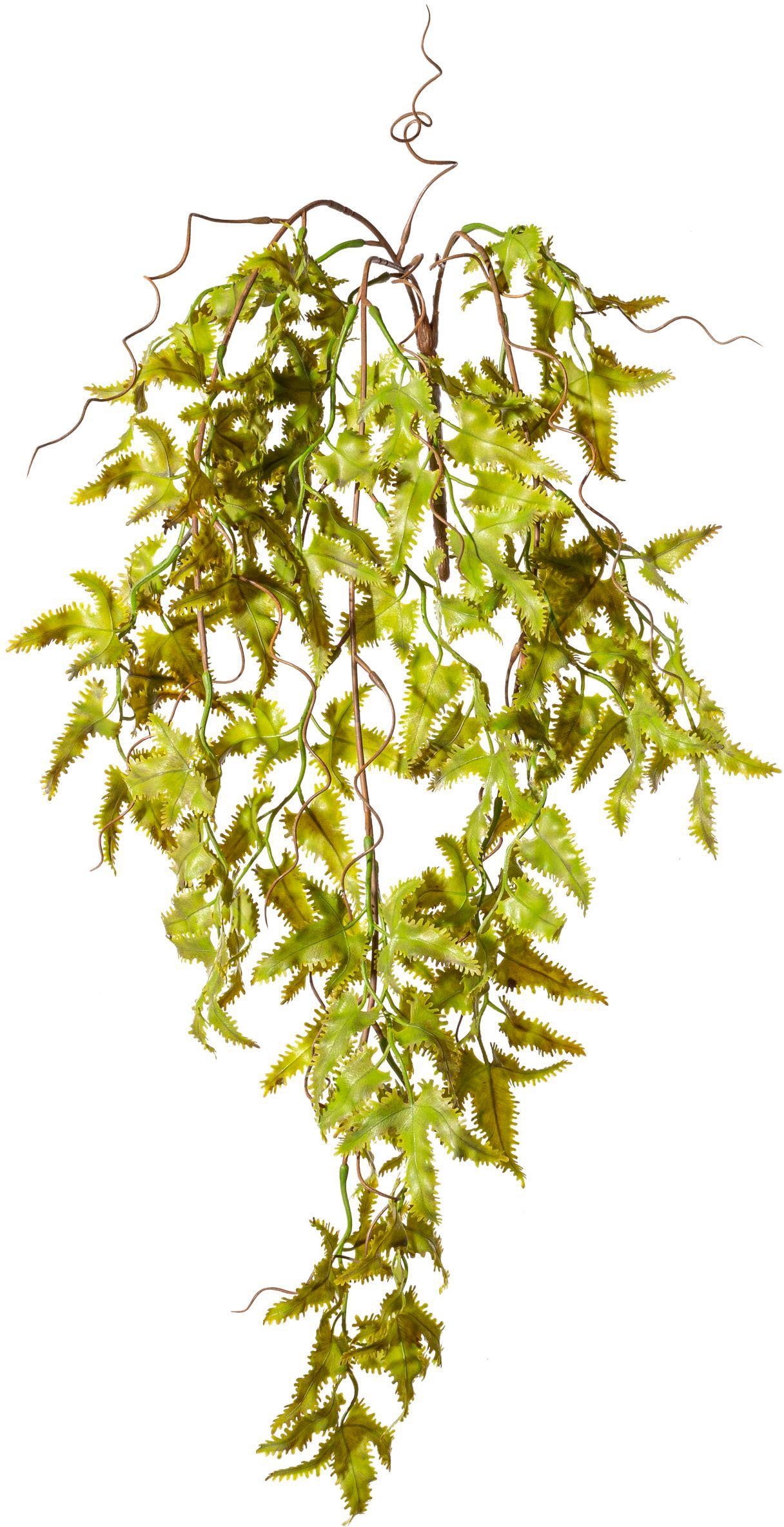 Creativ green Kunstranke »Lygodiumhänger«