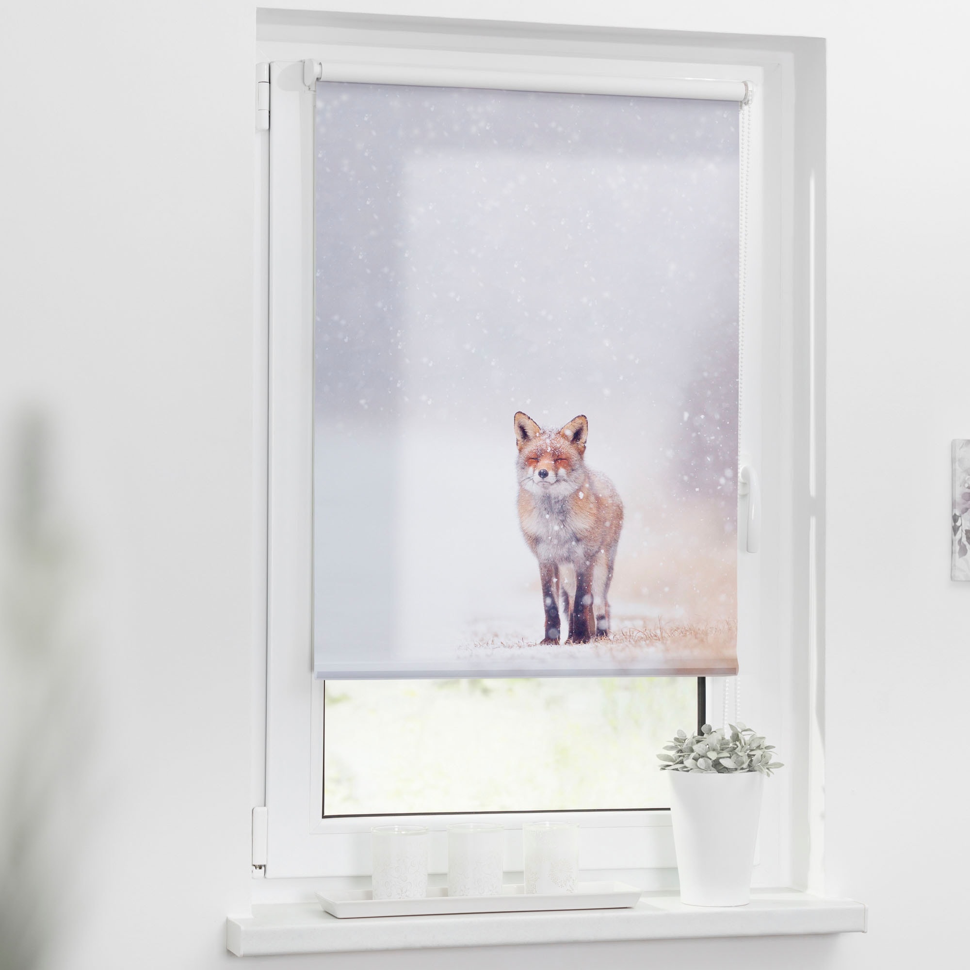 LICHTBLICK ORIGINAL Seitenzugrollo bedruckt ohne im Fuchs Bohren, »Klemmfix Motiv günstig Lichtschutz, freihängend, kaufen Schnee«