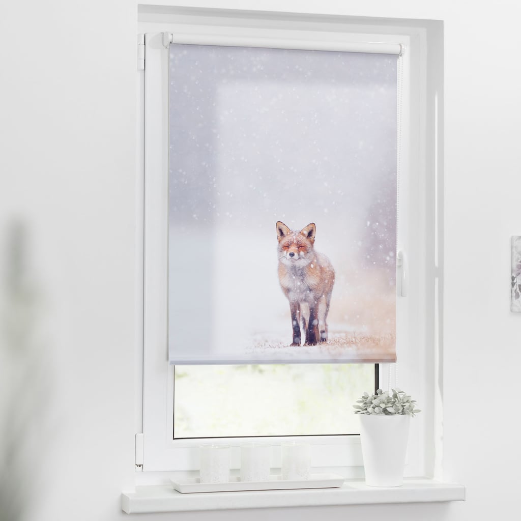 LICHTBLICK ORIGINAL Seitenzugrollo »Klemmfix Motiv Fuchs im Schnee«, Lichtschutz, ohne Bohren, freihängend