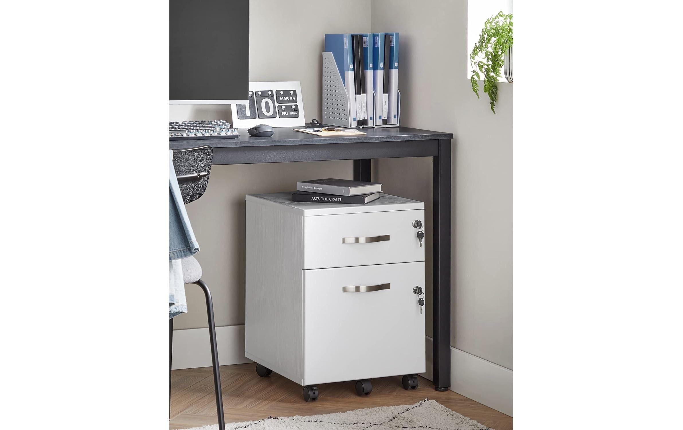 VASAGLE Aktenschrank »mit zwei Schubladen«