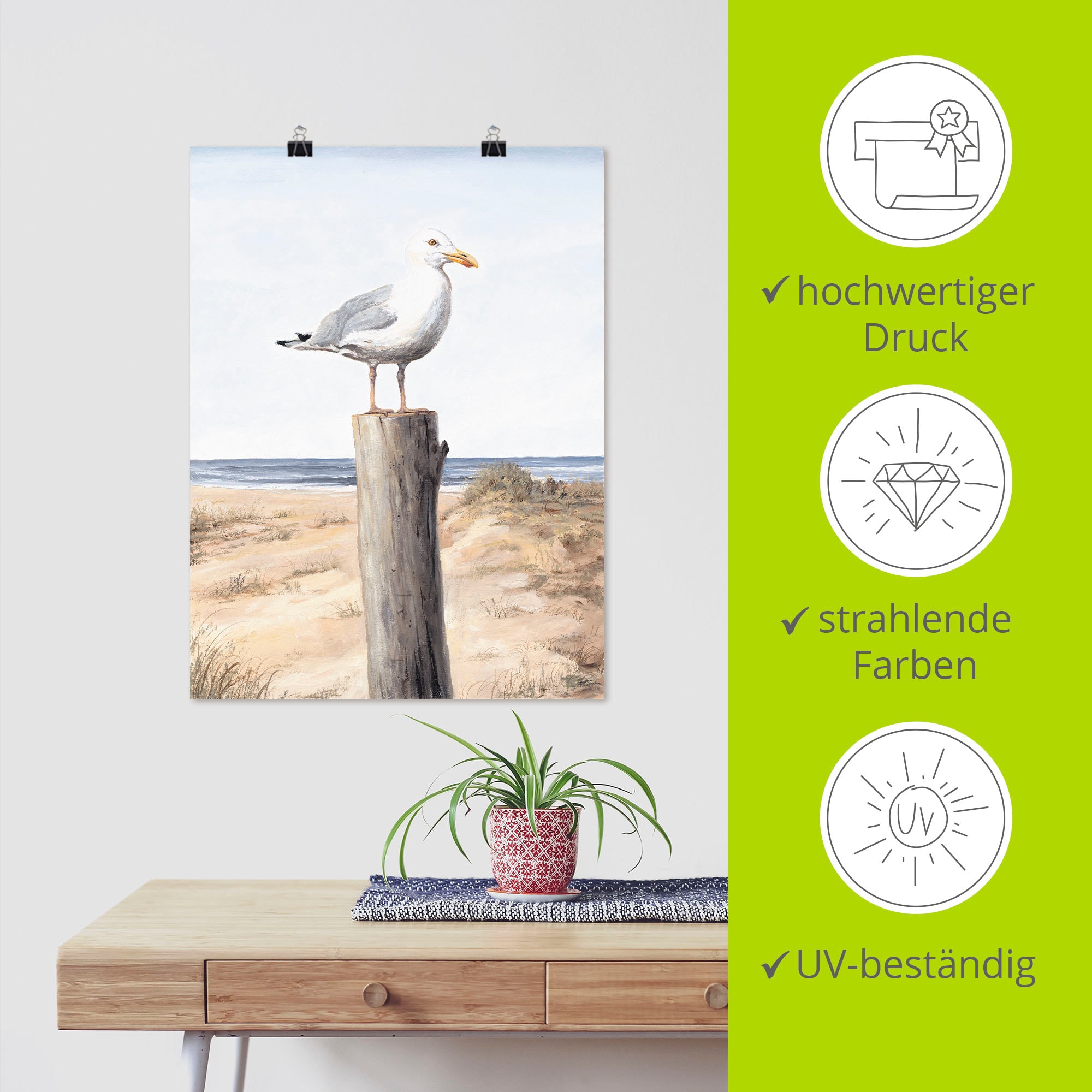 Artland Fresque murale »Möwe« 1 cuis tlg. als Alubild, Leinwandbild, Poster in verschied. Grössen