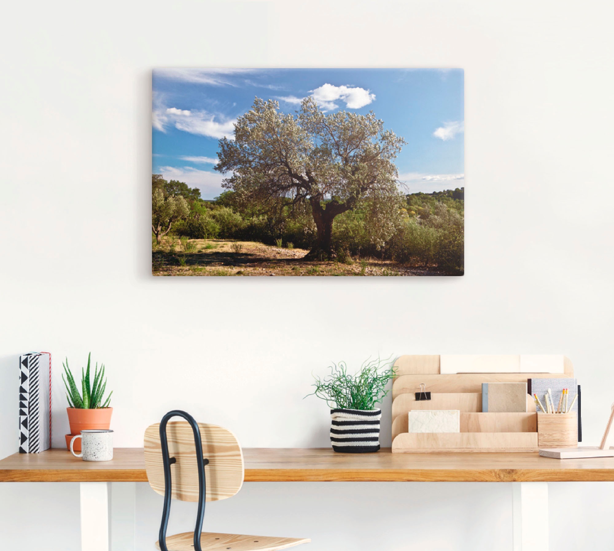 Artland Wandbild »Olivenbaum in Südfrankreich«, Bäume, (1 St.), als Alubild, Outdoorbild, Leinwandbild, Poster in verschied. Grössen