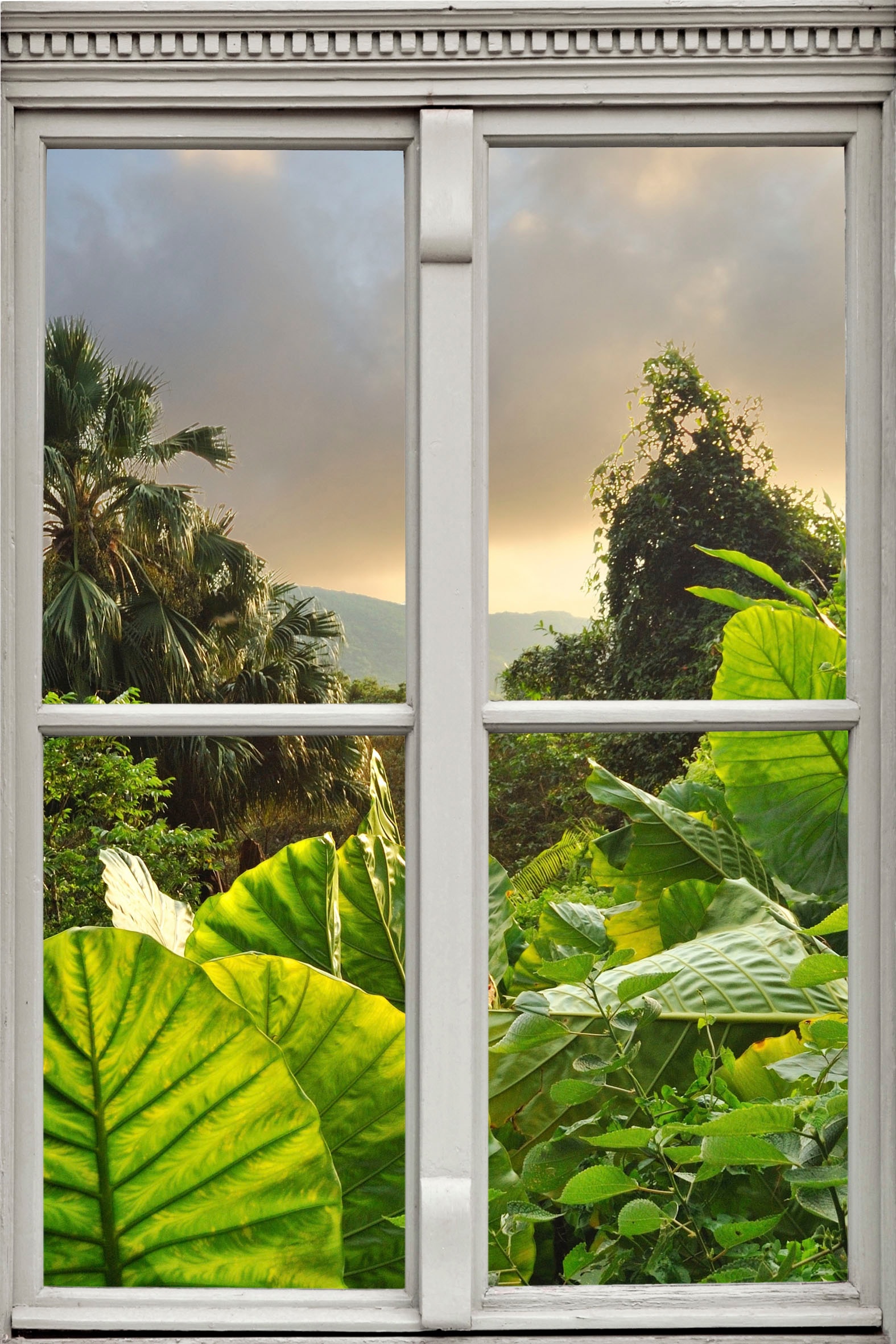 Image of queence Wandsticker "Regenwald" Wandsticker, Wandbild, selbstklebend, 3D, Fenster