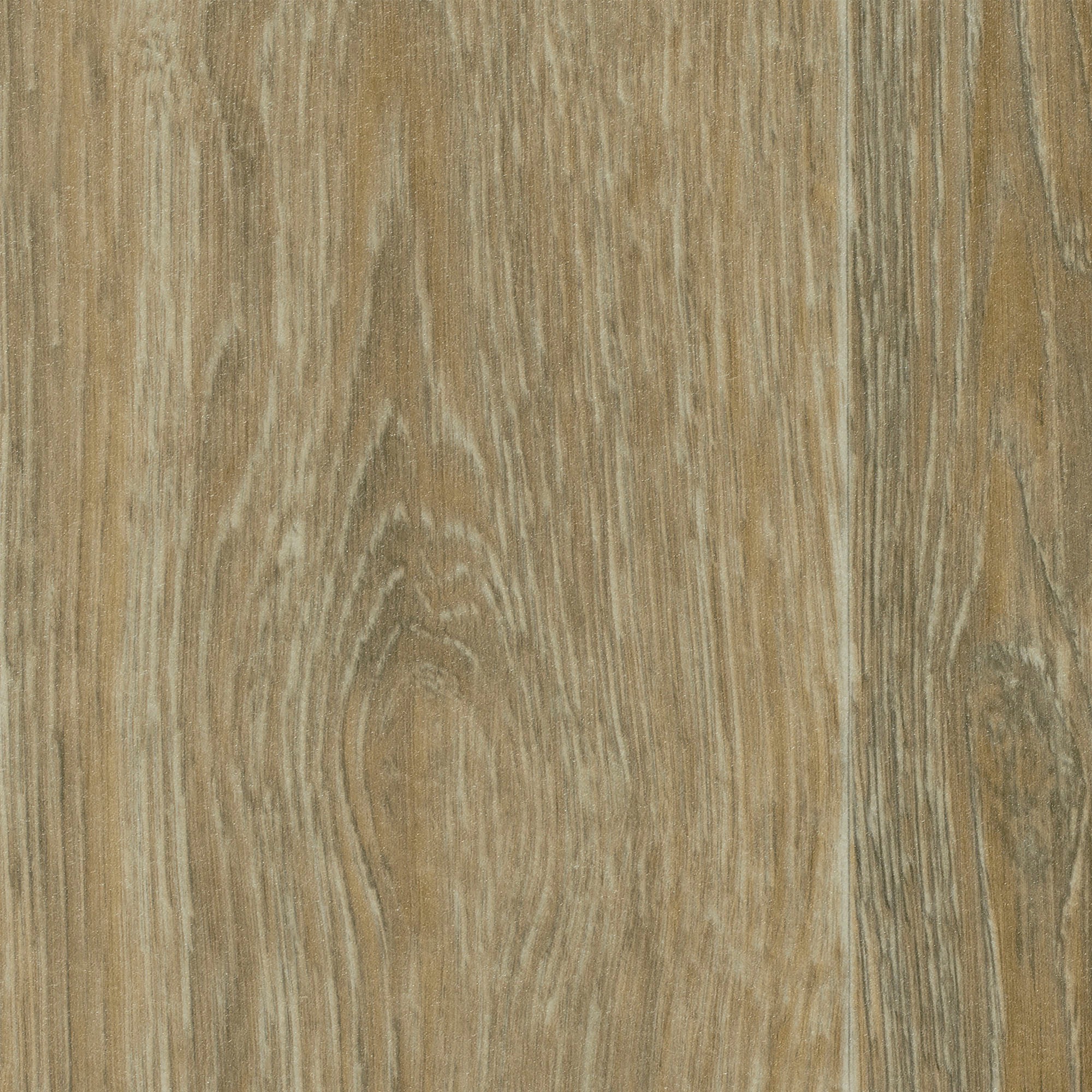 Image of Bodenmeister Vinylboden »PVC Bodenbelag Holzoptik Diele Eiche hell-grau gekalkt«, Meterware, Breite 200/300/400 cm bei Ackermann Versand Schweiz