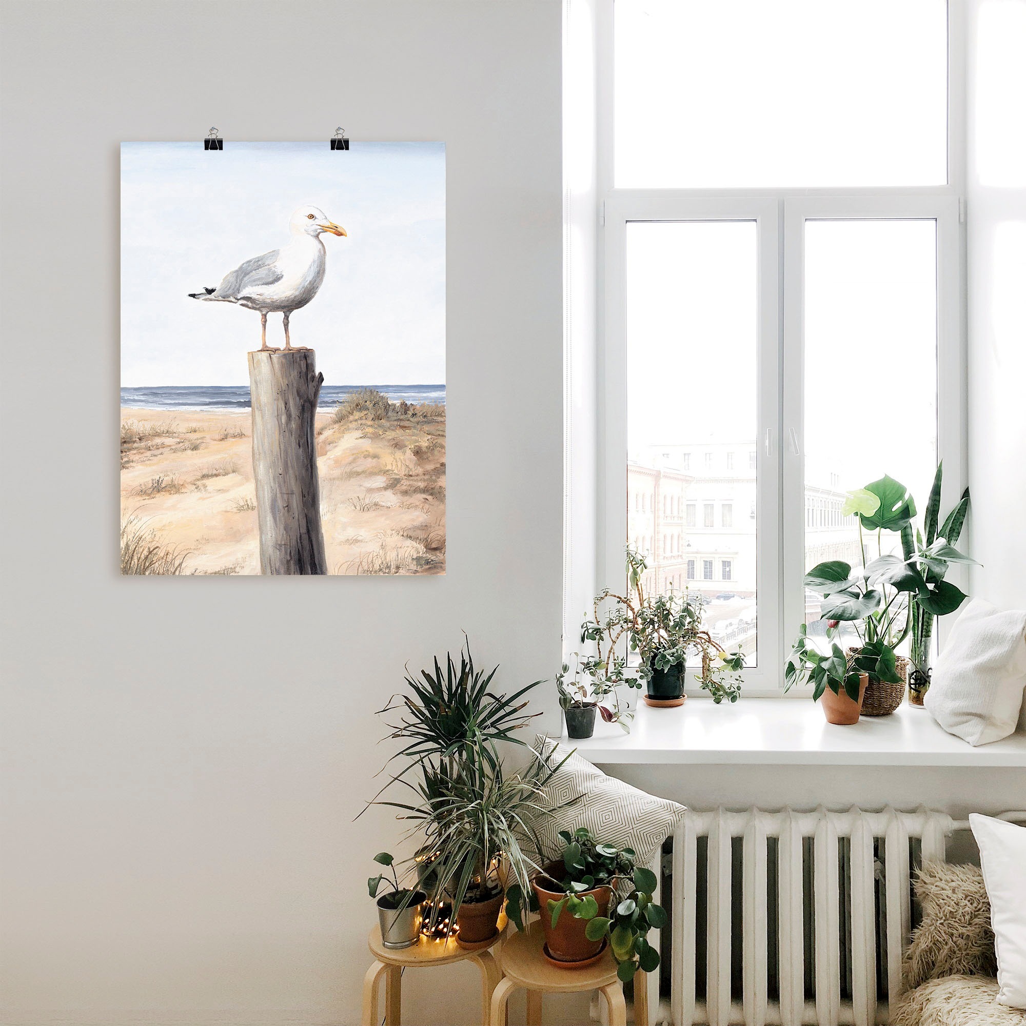 Artland Fresque murale »Möwe« 1 cuis tlg. als Alubild, Leinwandbild, Poster in verschied. Grössen