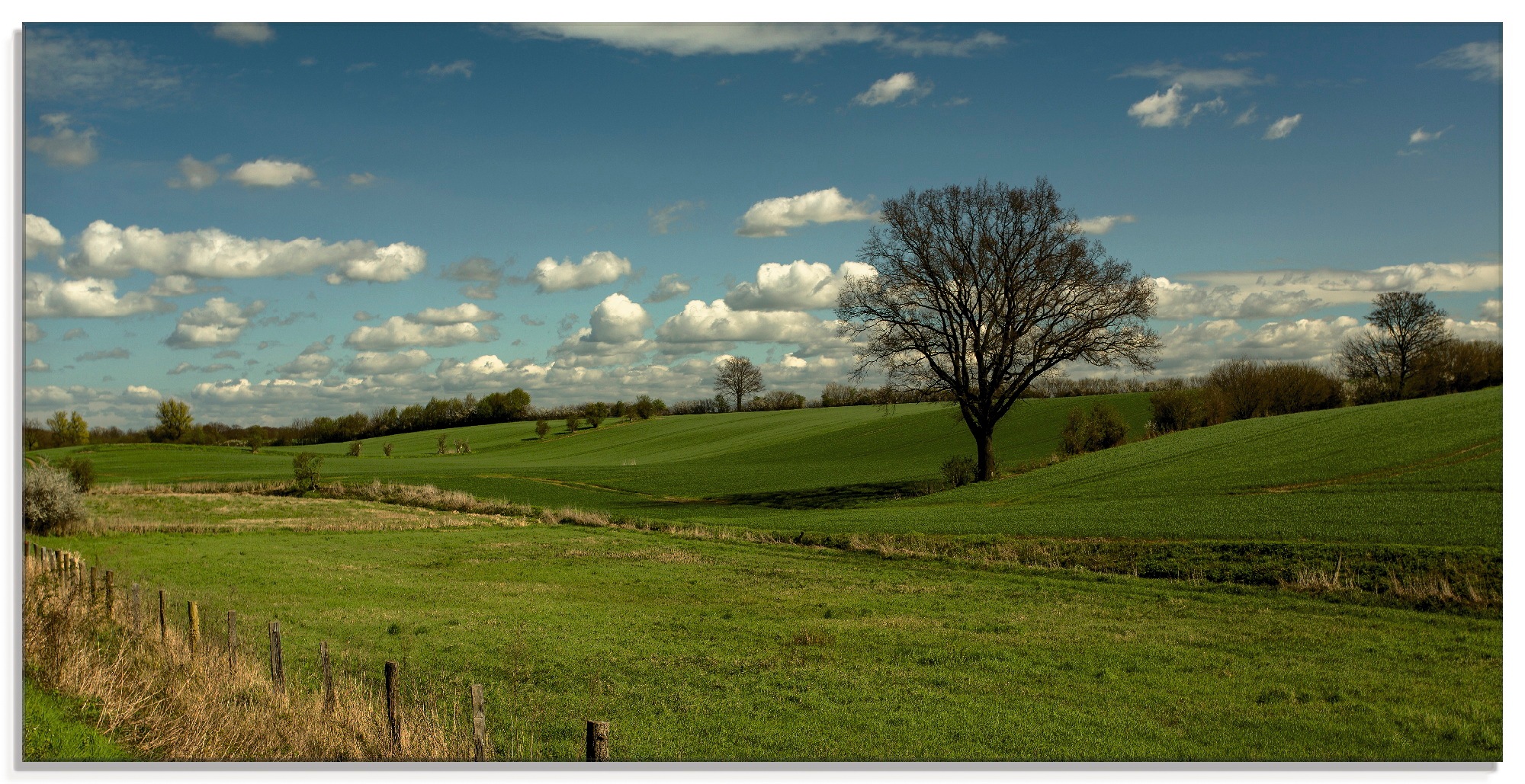 Image of Artland Glasbild »Natur pur Wiesen«, Felder, (1 St.) bei Ackermann Versand Schweiz