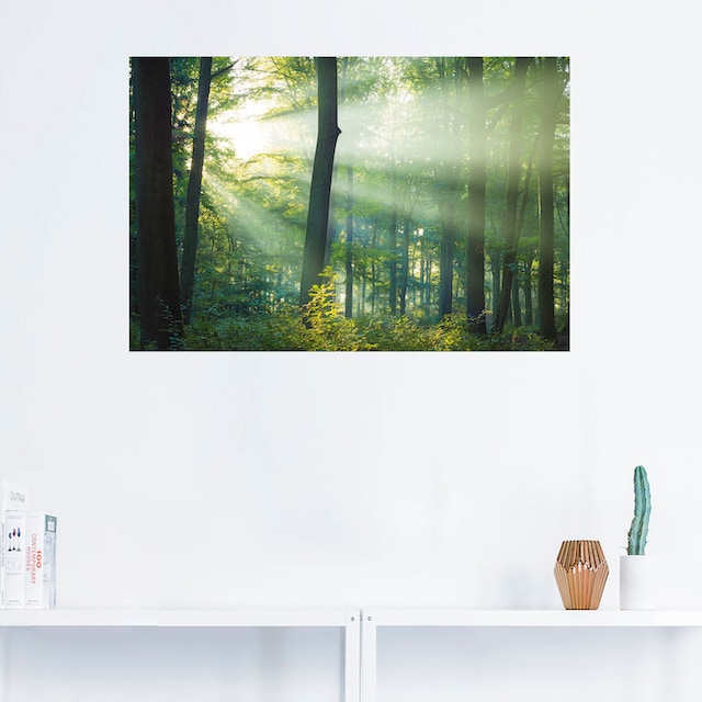 Artland Wandbild »Licht im Wald«, Waldbilder, (1 St.), als Alubild,  Leinwandbild, Wandaufkleber oder Poster in versch. Grössen kaufen