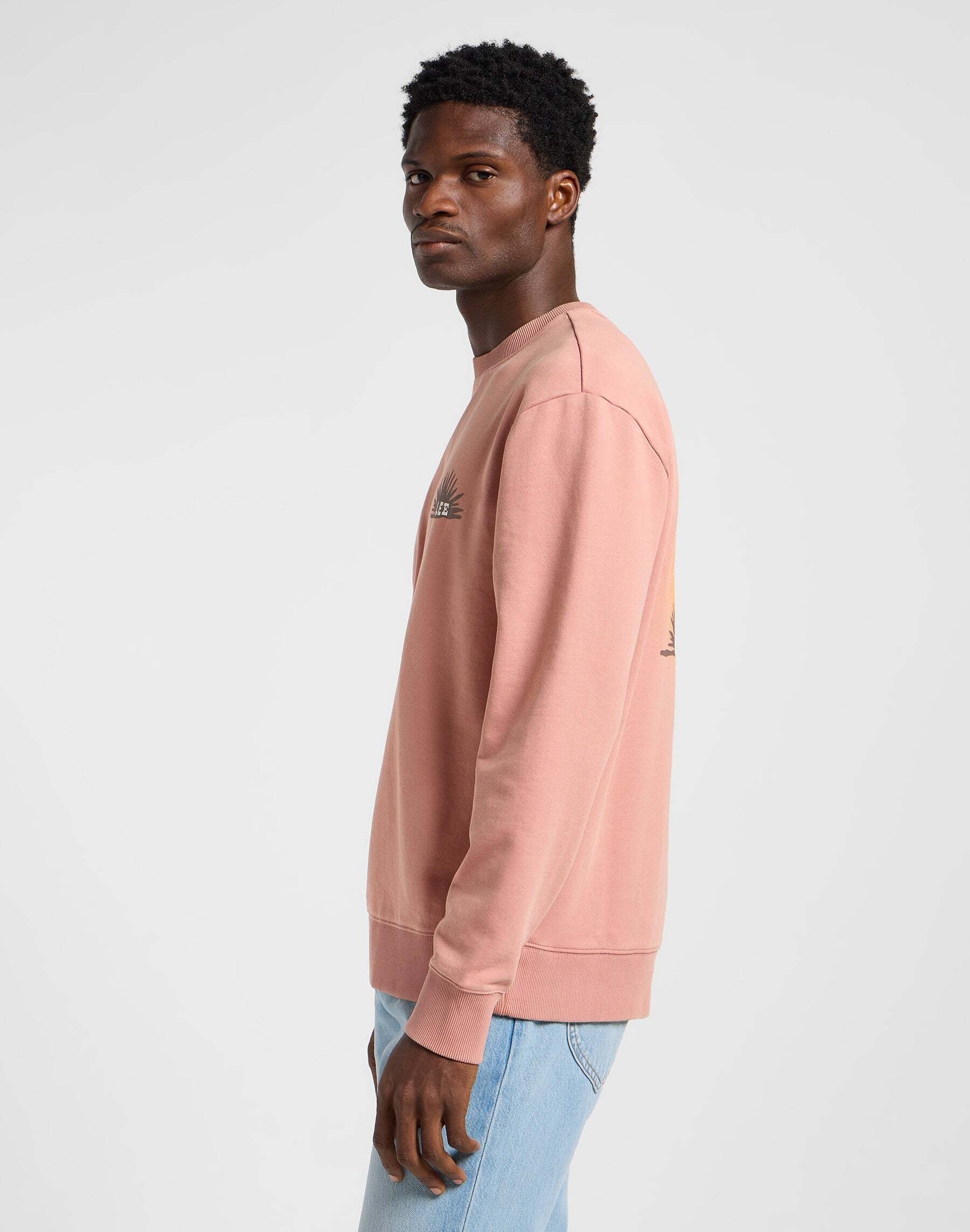 Lee® Sweatshirt »LEE Sweatshirt Regular Graphic Sws«