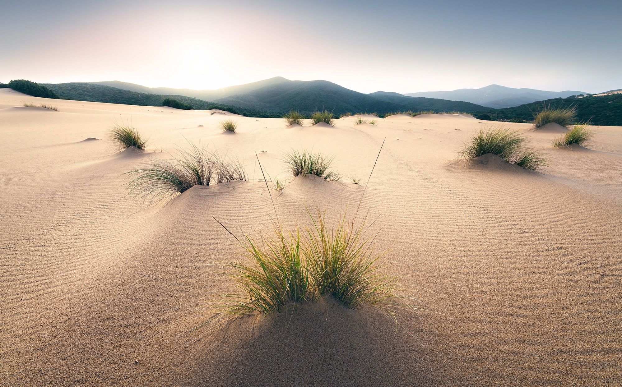 Image of Komar Vliestapete "Digitaldruck Vlies - Vivid Dunes - Grösse 450 x 280 cm" bedruckt glatt Wohnzimmer, Schlafzimmer
