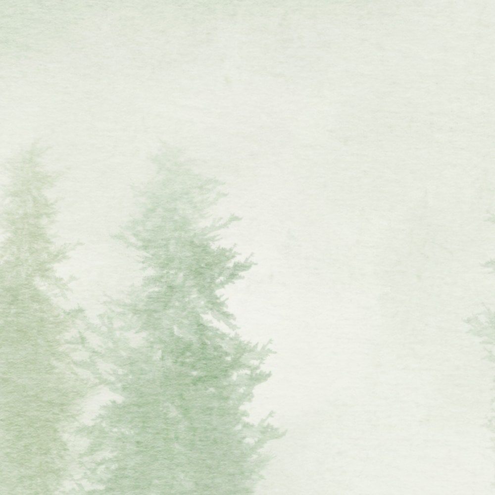 Komar Fototapete »Vlies Fototapete - Blurry Woods - Grösse 350 x 250 cm« Motiv | bedruckt glatt