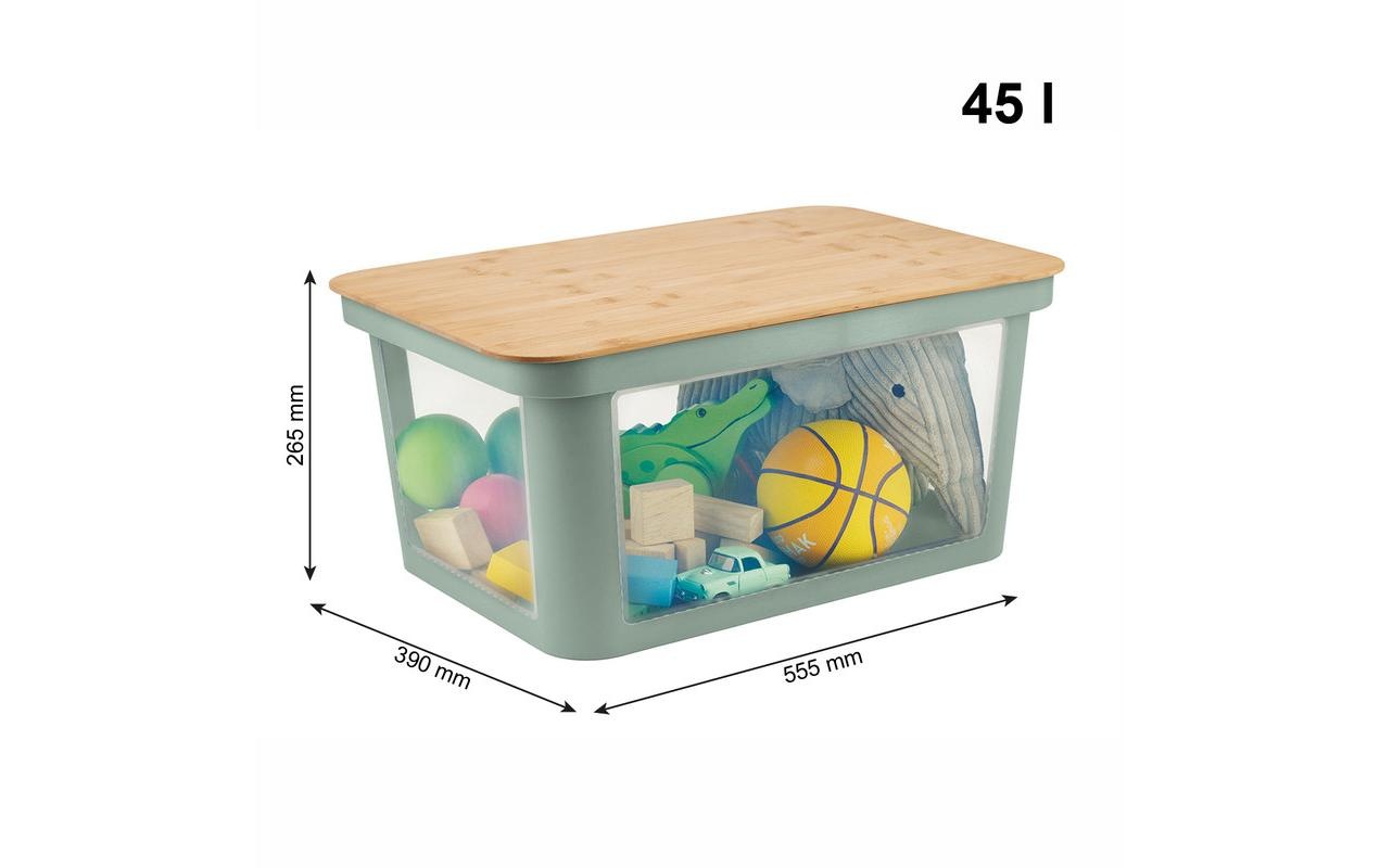 Rotho Babydesign Aufbewahrungsbox »Spielzeugbox PINA 45 l Sage«, (1 St.)