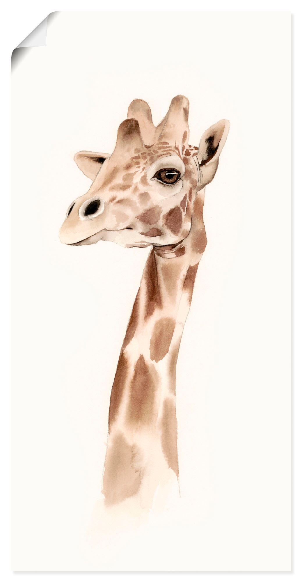 Image of Artland Wandbild »Safari Porträt III«, Wildtiere, (1 St.), in vielen Grössen & Produktarten - Alubild / Outdoorbild für den Aussenbereich, Leinwandbild, Poster, Wandaufkleber / Wandtattoo auch für Badezimmer geeignet bei Ackermann Versand Schweiz