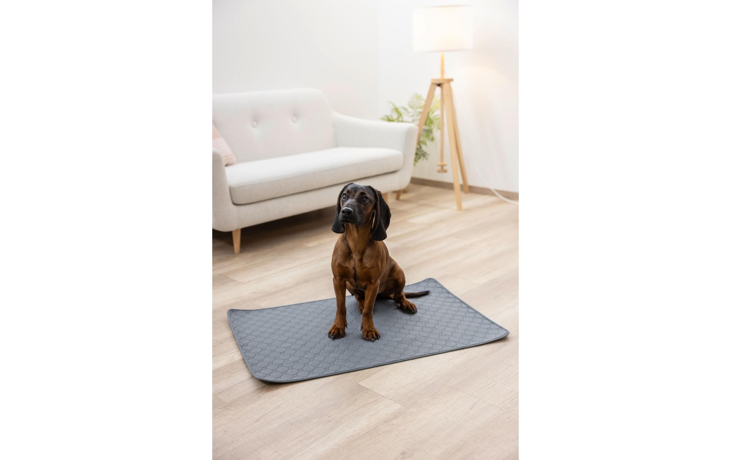 Kerbl Hundematte »Waschbare Urinunterlage 115 x 75 cm«