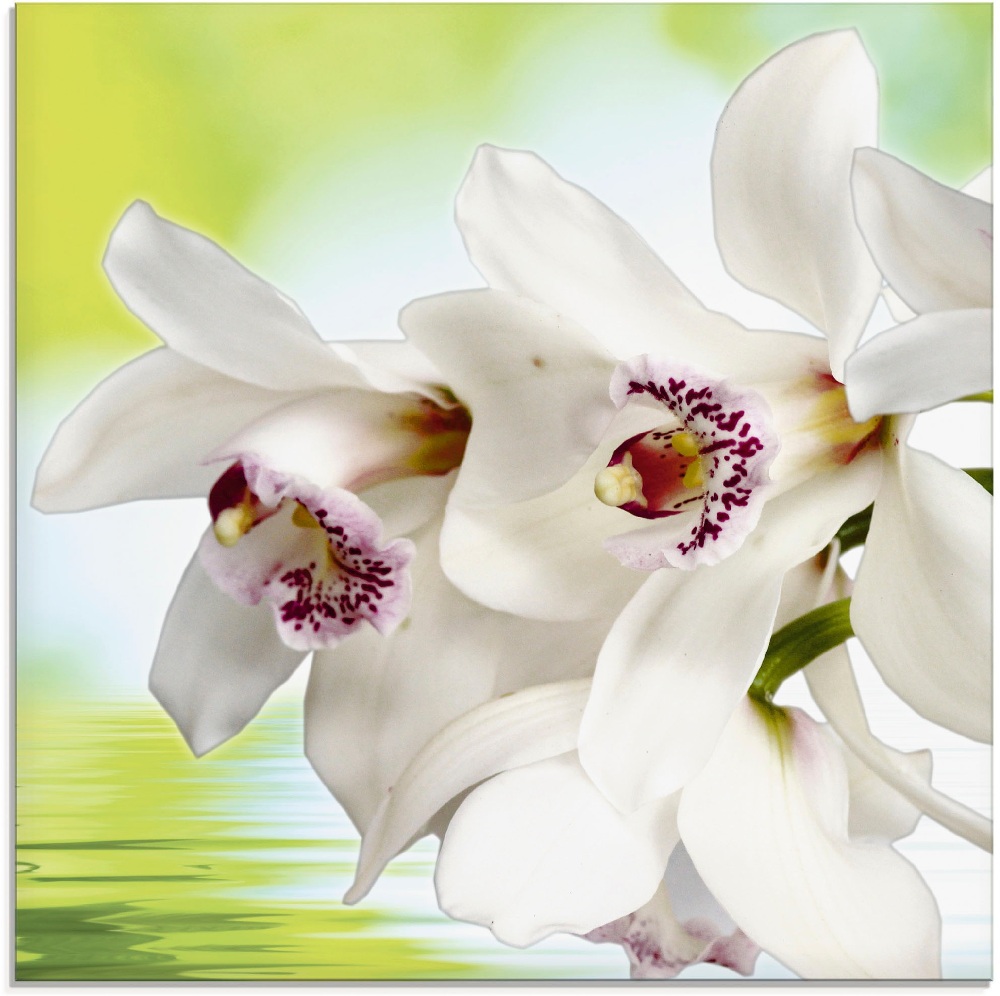 Image of Artland Glasbild "Weisse Orchidee" Blumen 1 Stk. tlg. in verschiedenen Grössen