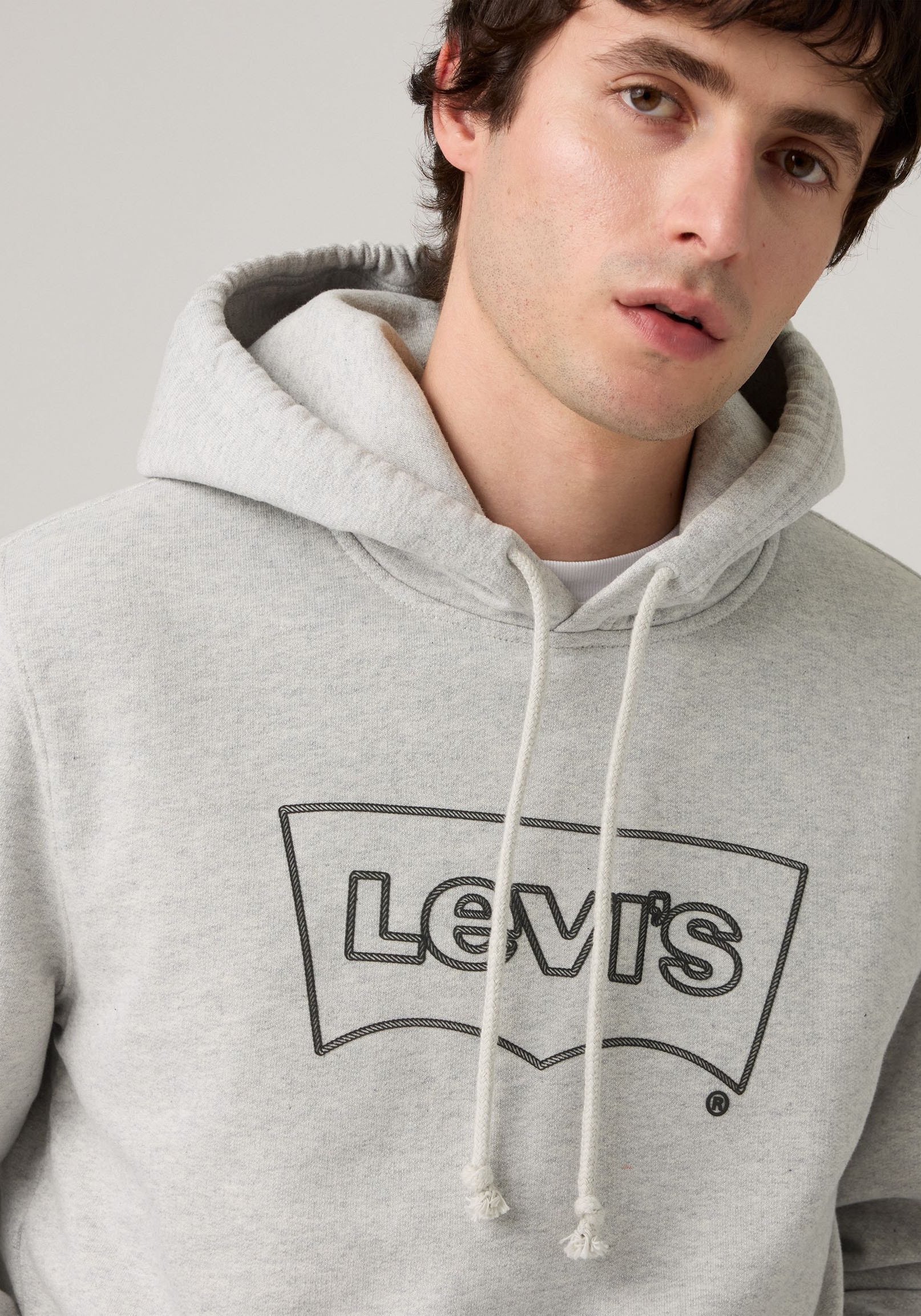Levi's® Hoodie »STANDARD GRAPHIC HOOD« mit Kängurutasche