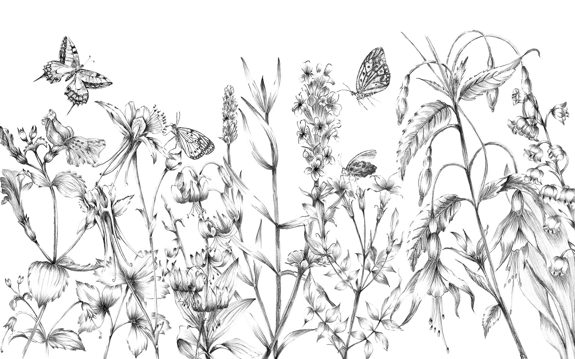 Image of Komar Vliestapete "Digitaldruck Vlies - Butterfly Field - Grösse 400 x 250 cm" bedruckt glatt Wohnzimmer, Schlafzimmer