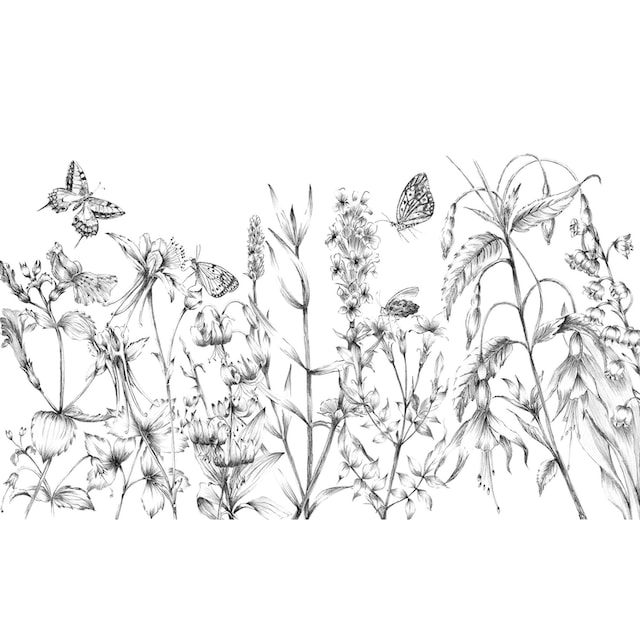 Komar Vliestapete »Butterfly Field«, 400x250 cm (Breite x Höhe) Découvrir  sur