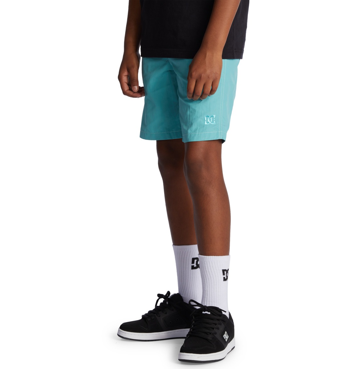 DC Shoes Shorts »Wayford«