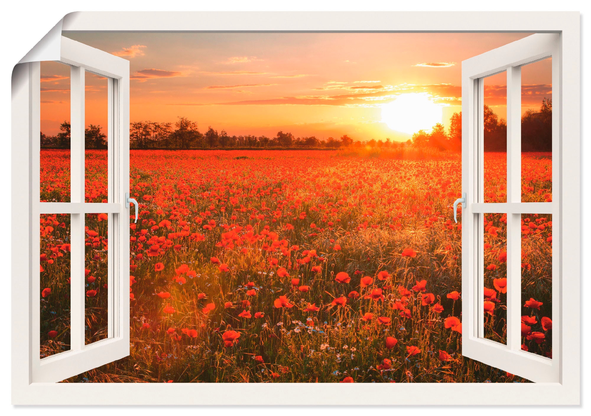 Image of Artland Wandbild "Fensterblick Mohnblumenfeld" Blumen 1 Stk. tlg. als Leinwandbild, Poster in verschied. Grössen