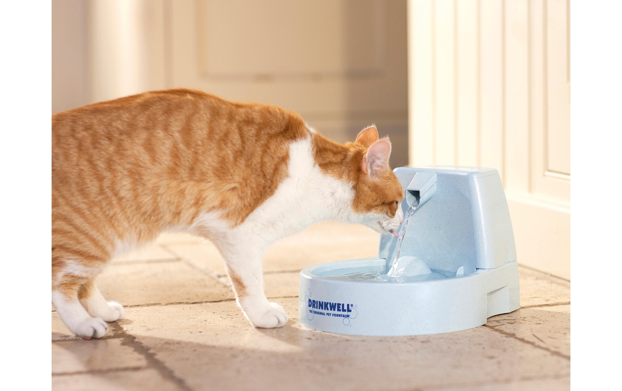 PetSafe Wasserspender »Drinkwell Original«