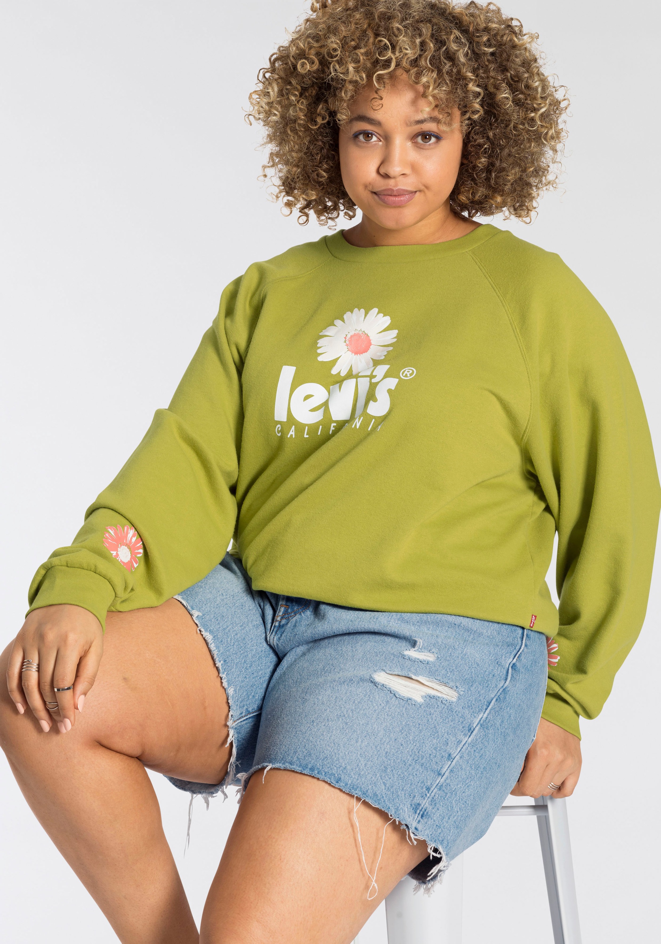 Image of Levi's® Plus Sweatshirt »PL VINTAGE RAGLAN CREW«, Mit Levi's® Marken Flag am Saum bei Ackermann Versand Schweiz