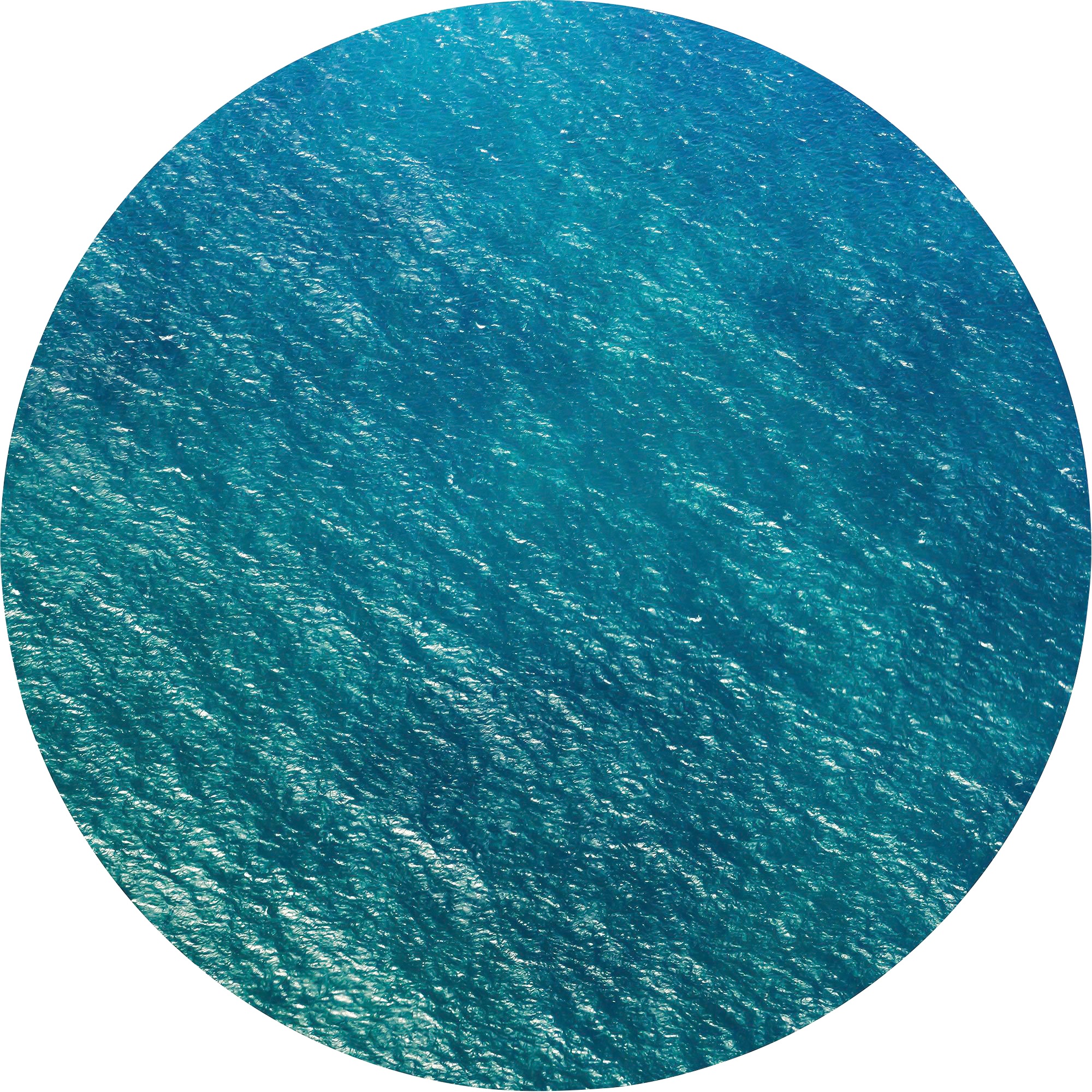 Image of Komar Fototapete »Calm«, Comic-botanisch, 125 x 125 cm bei Ackermann Versand Schweiz