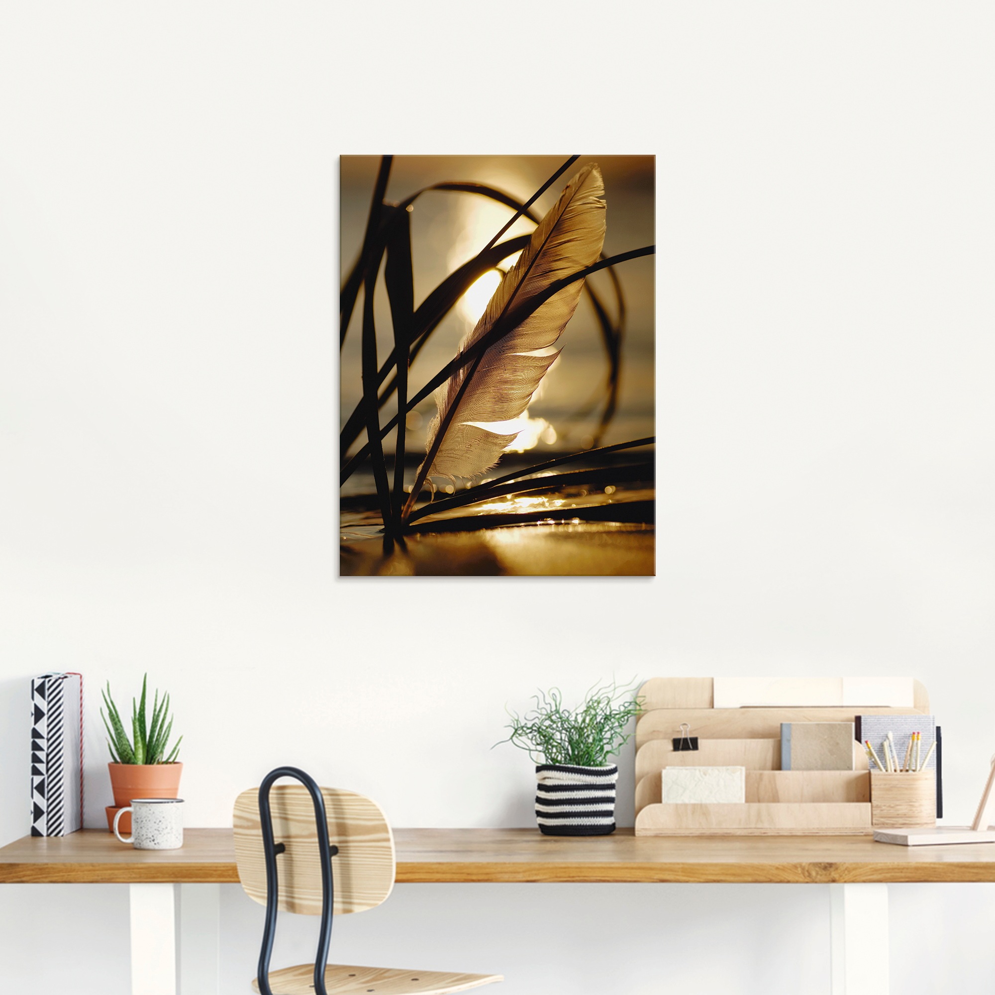 Artland Glasbild »Feder im Abendlicht« Gräser 1 Stk. tlg. in verschiedenen Grössen