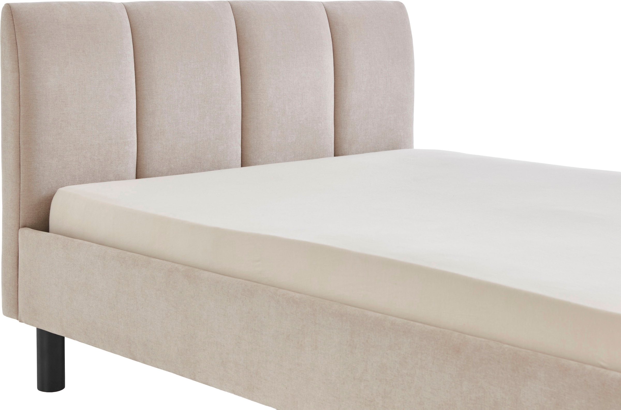 meise.möbel Lit rembourré »Joker, in verschiedenen Breiten und Farben erhältlich« wahlweise mit schwarzem oder eichefarbigem Holzfuss