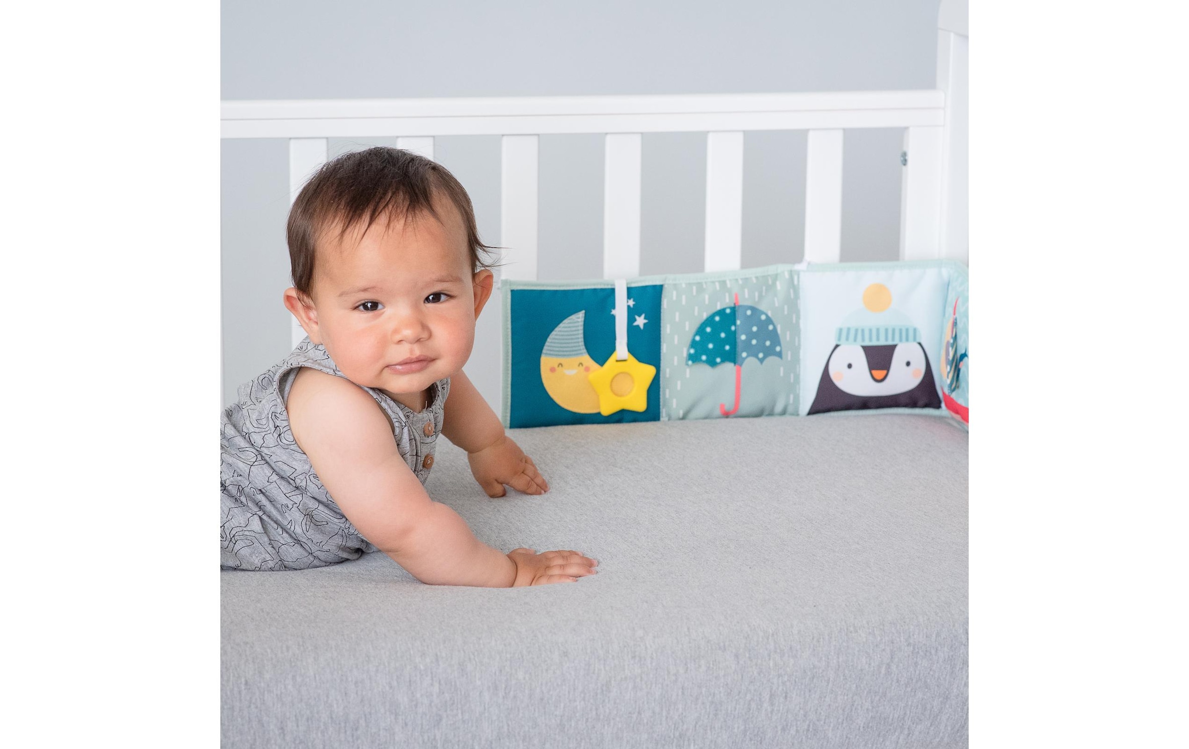 TAF TOYS Jouets éducatifs »Nordpol 0M+«