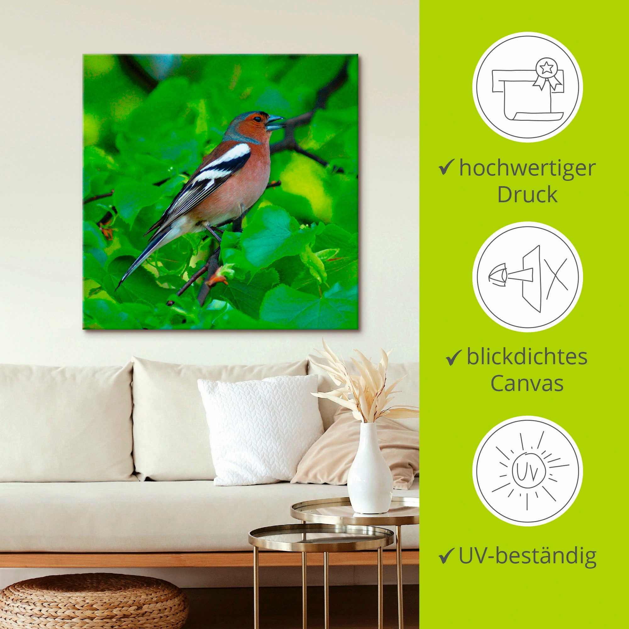 Artland Wandbild »Buchfink Lied«, Vögel, (1 St.), als Leinwandbild, Poster in verschied. Grössen