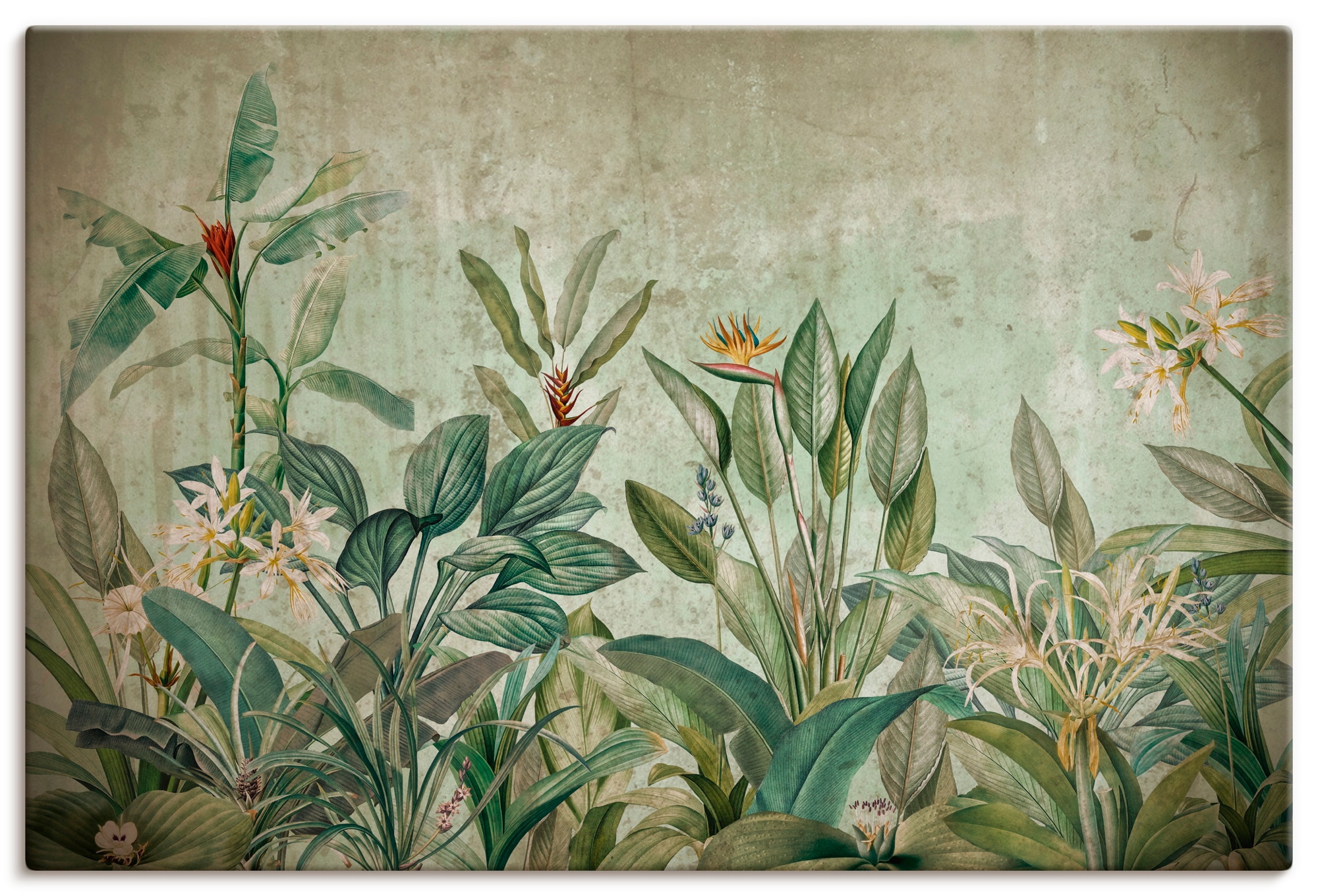Image of Artland Wandbild "Exotische Dschungel Landschaft" Blumenwiese 1 Stk. tlg. als Alubild, Leinwandbild, Poster, Wandaufkleber in verschied. Grössen