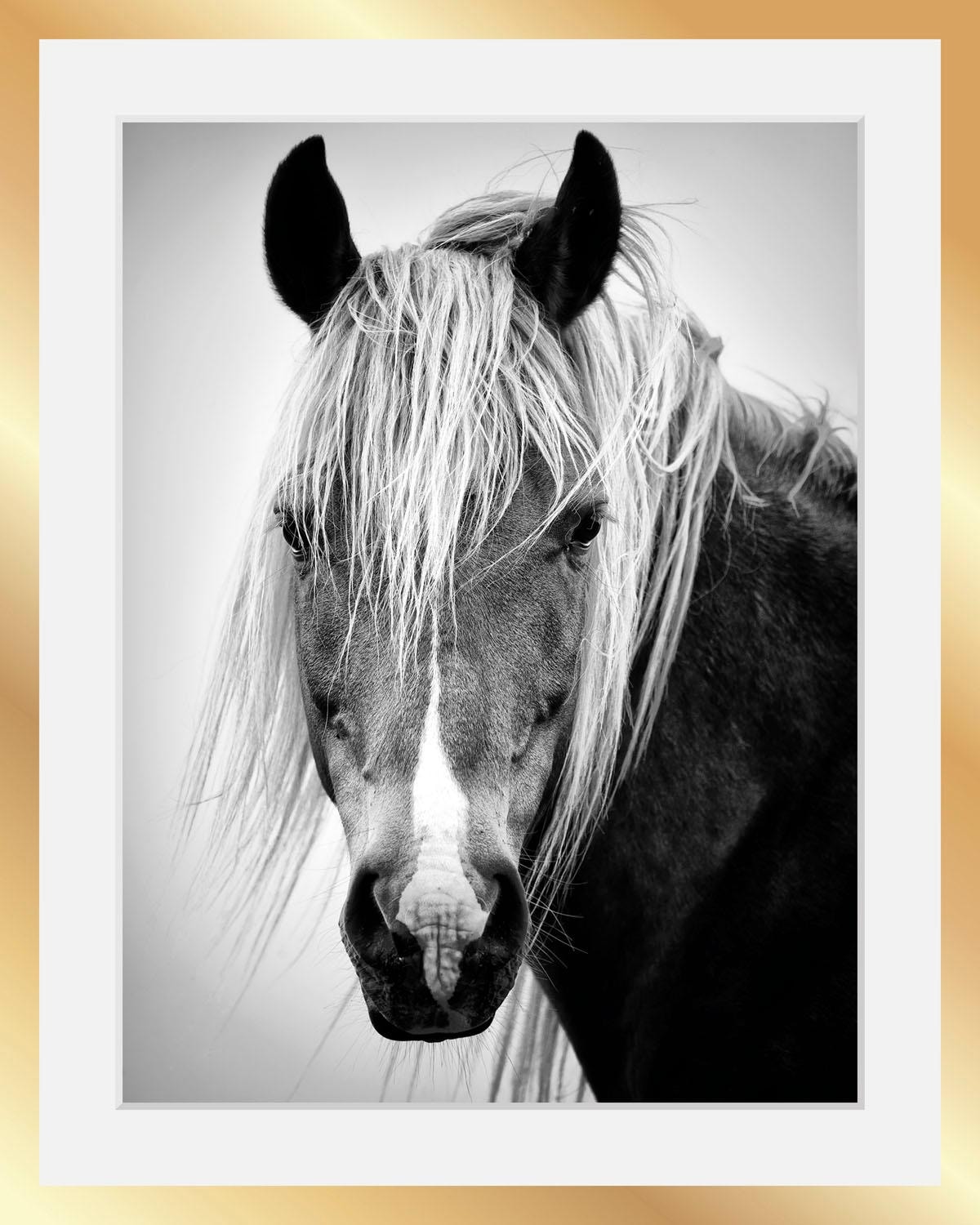 queence Bild »Pferdekopf«, Schwarz-Weiss-Tiere-Pferde-Pferdebilder-Gesicht, HD Premium Poster-Druck inkl. Holzrahmen in schwarz