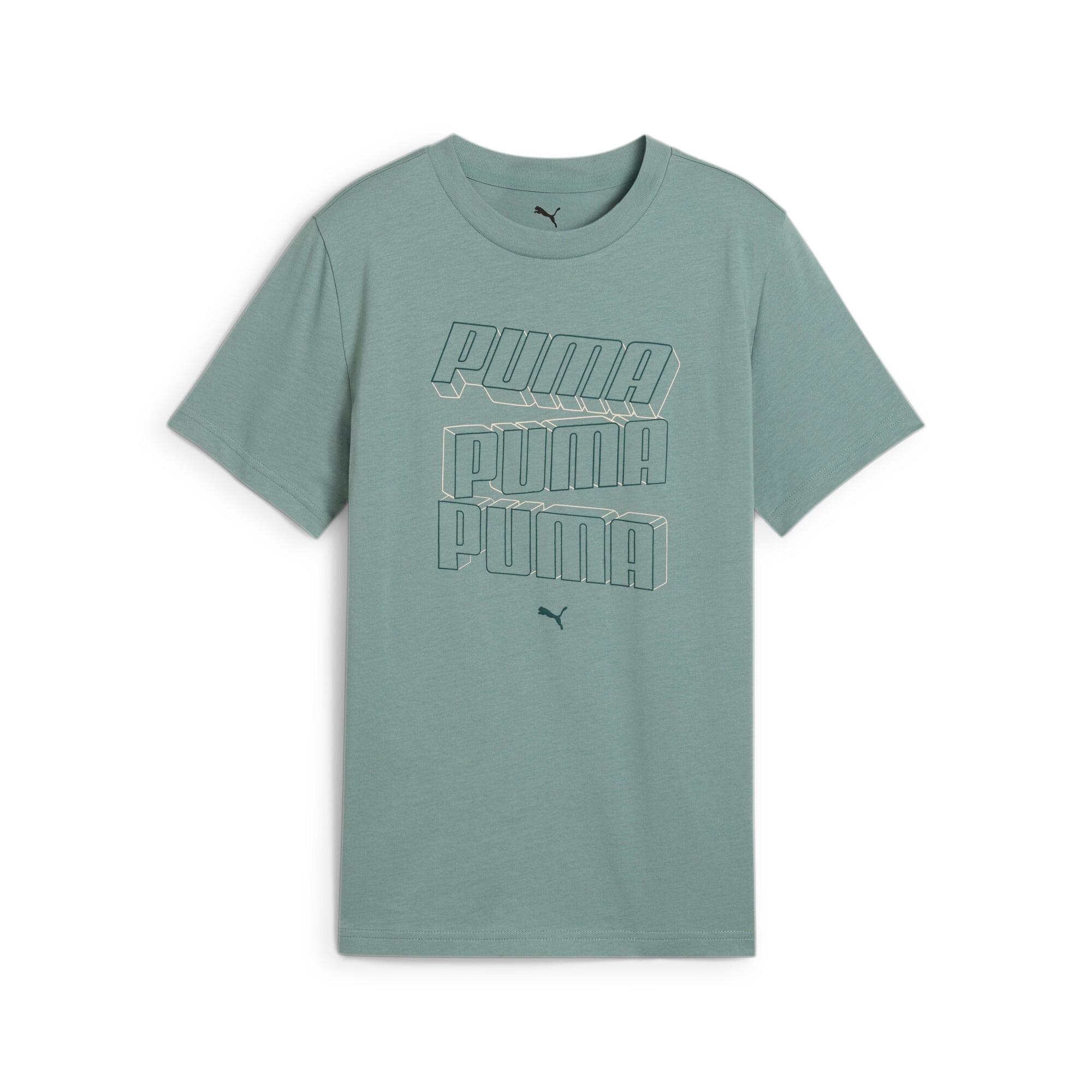 PUMA T-Shirt »ESS LOGO LAB HOG TEE B«