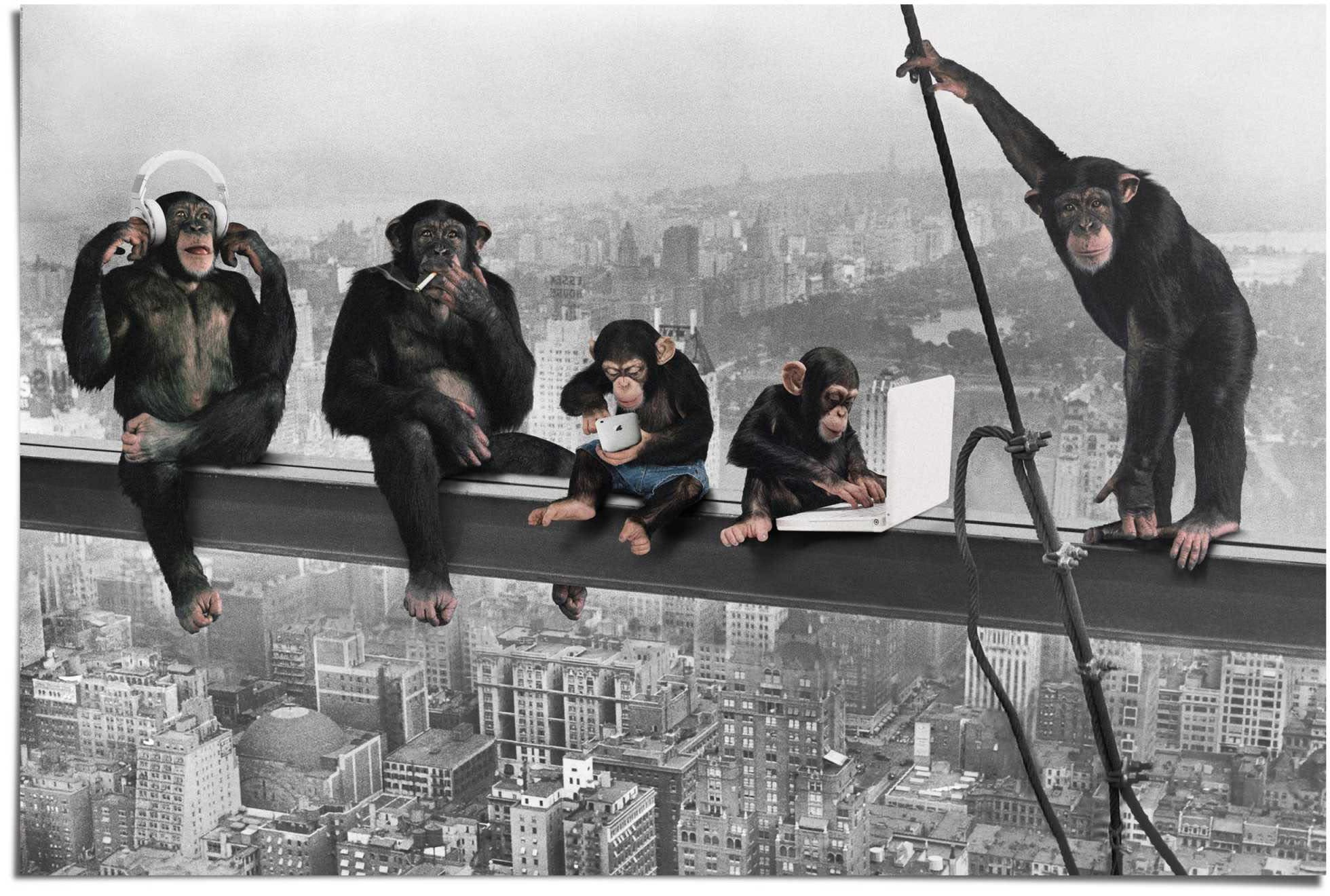 Reinders! Poster »Schimpanse Stahlträger«, (1 St.) günstig kaufen | Poster