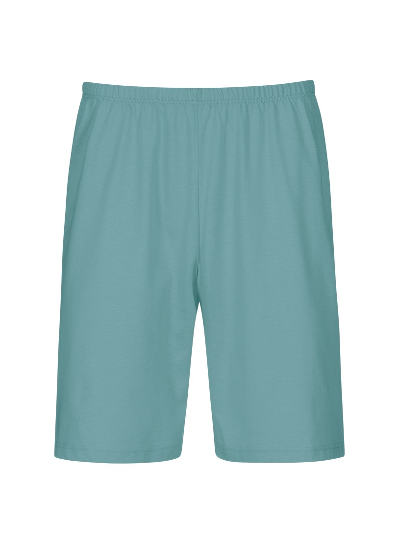Trigema, Herren, Bermudas »TRIGEMA Bermuda aus 100% Baumwolle«, seegras, 3XL, US-Grössen, Single-Jersey
