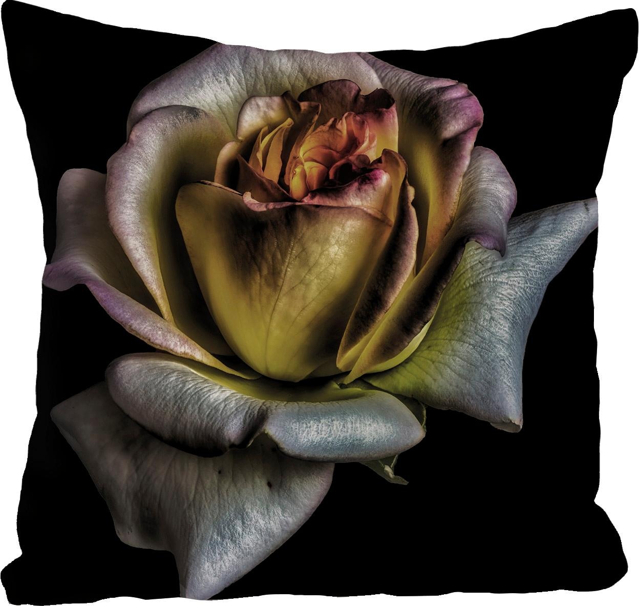 Image of queence Dekokissen "Blüte" Kissenhülle ohne Füllung, 1 Stück