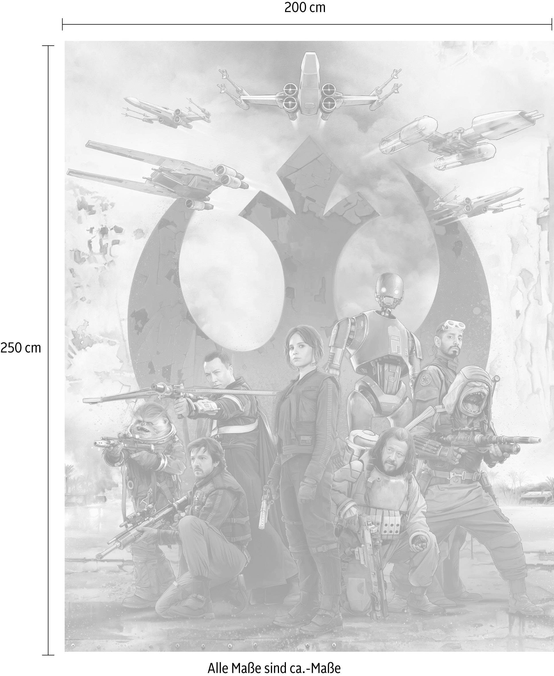 Komar Vliestapete »Digitaldruck Vlies - Star Wars Rebels - Grösse 200 x 250 cm«, bedruckt, Kinderzimmer