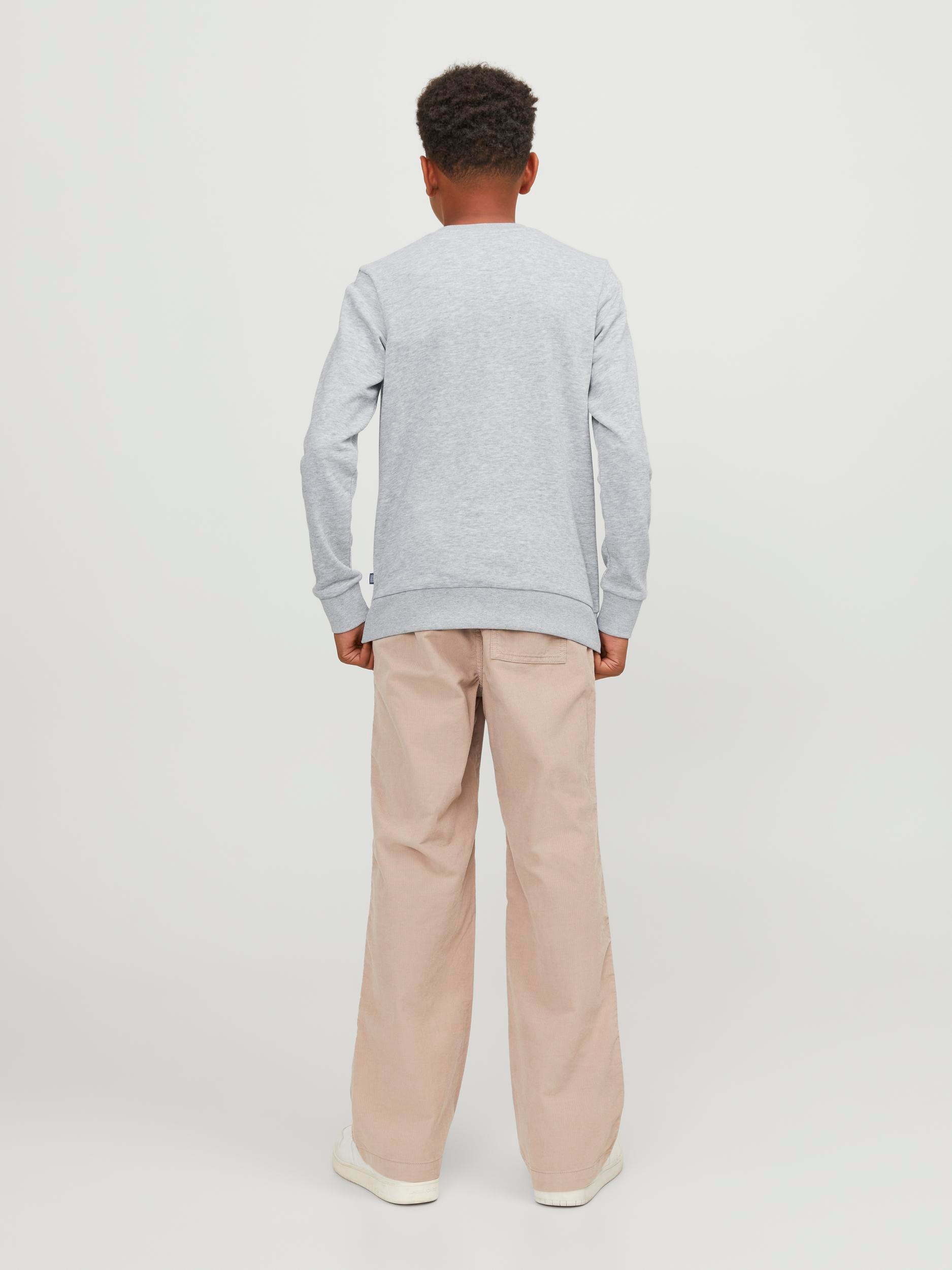 Jack & Jones Junior Sweatshirt »JJEBRADLEY SWEAT CREW NOOS JNR«