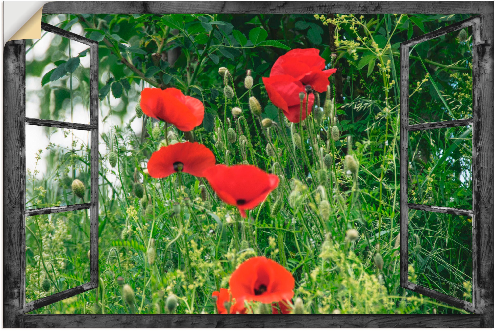 Image of Artland Wandbild »Fensterblick - Klatschmohn«, Fensterblick, (1 St.), in vielen Grössen & Produktarten - Alubild / Outdoorbild für den Aussenbereich, Leinwandbild, Poster, Wandaufkleber / Wandtattoo auch für Badezimmer geeignet bei Ackermann Versand Schwe