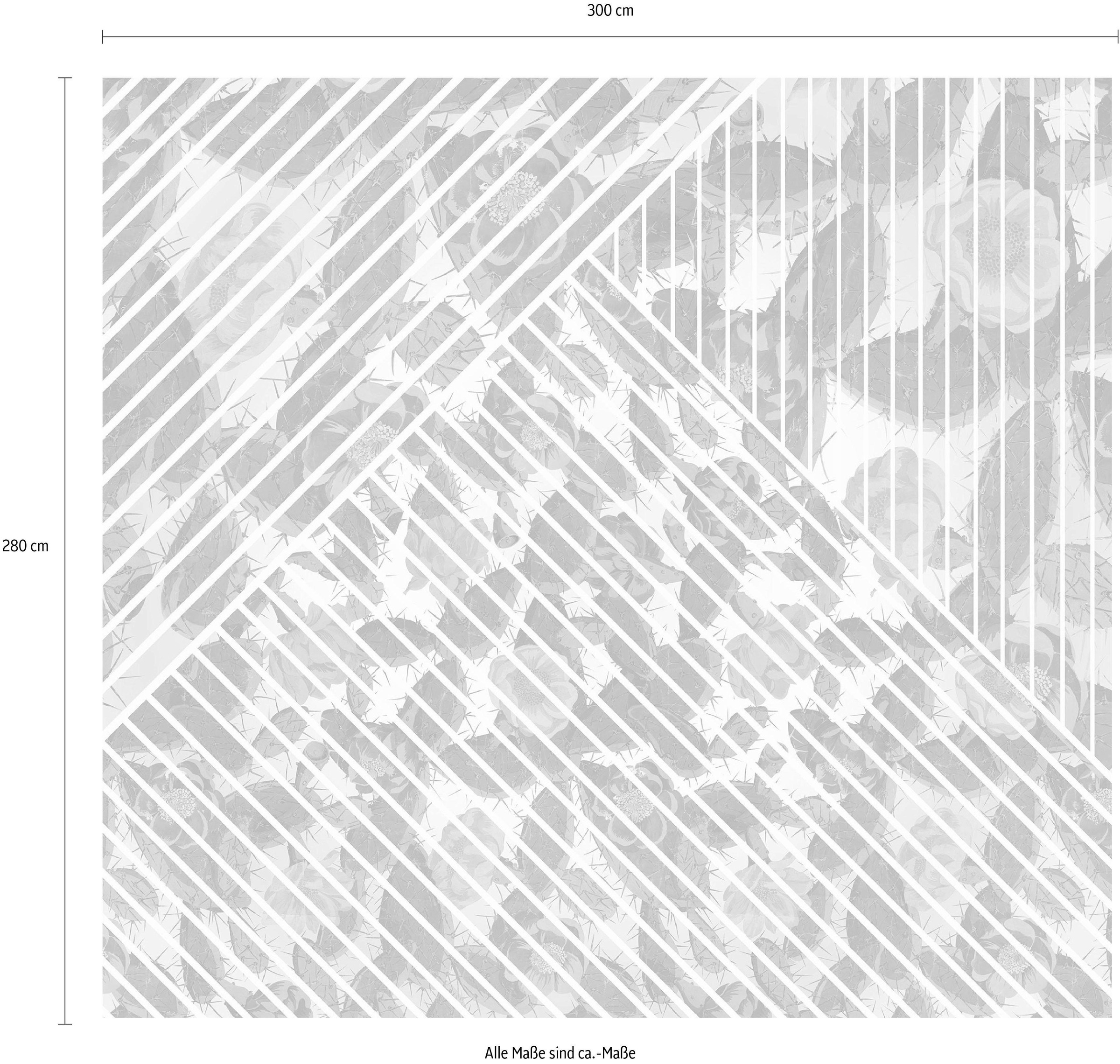 Komar Vliestapete »Digitaldruck Vlies - Cactus - Grösse 300 x 280 cm«, bedruckt, Wohnzimmer, Schlafzimmer